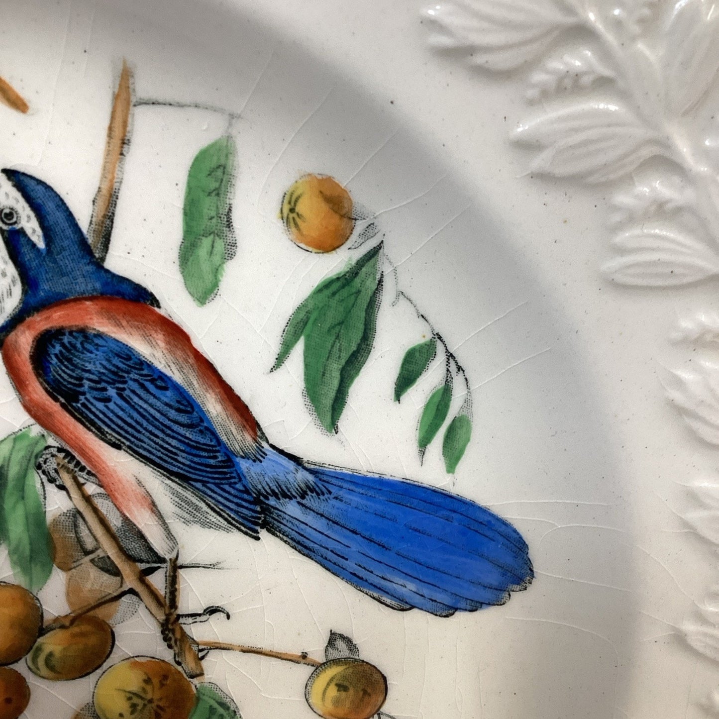 Adams England Audubon Birds of America Florida Jay Collector Plate