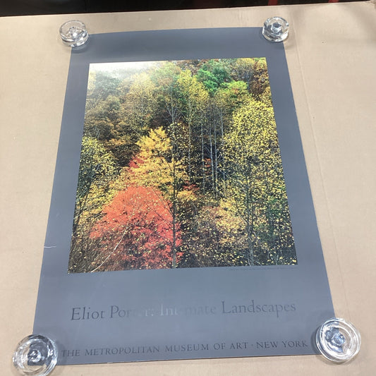 Eliot Porter: Intimate Landscapes - Colorful Trees - 33x22” - Museum Of Art