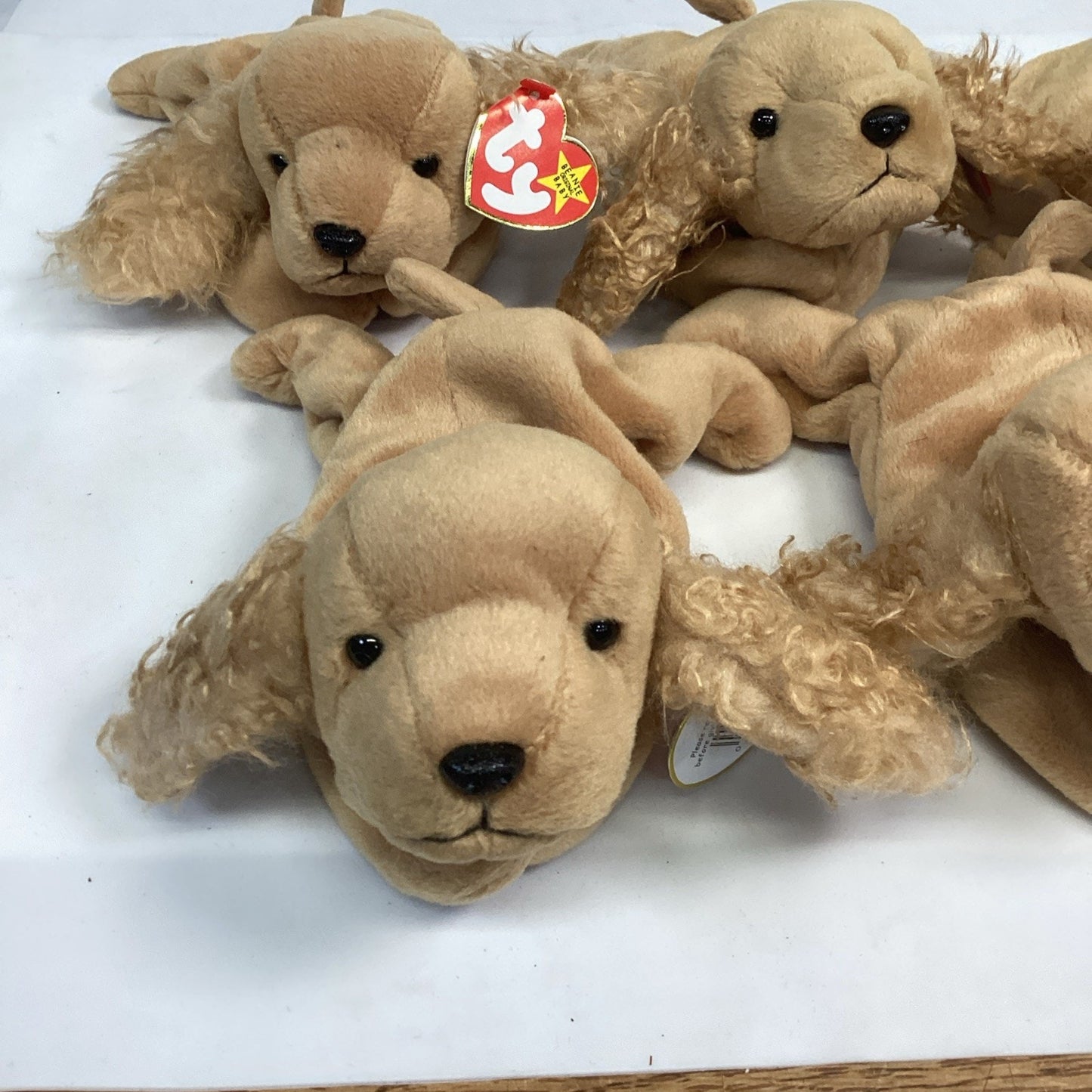 Lot Of 5 Ty Beanie Baby Spunky The Cocker Spaniel From 1997 Retired With Tags