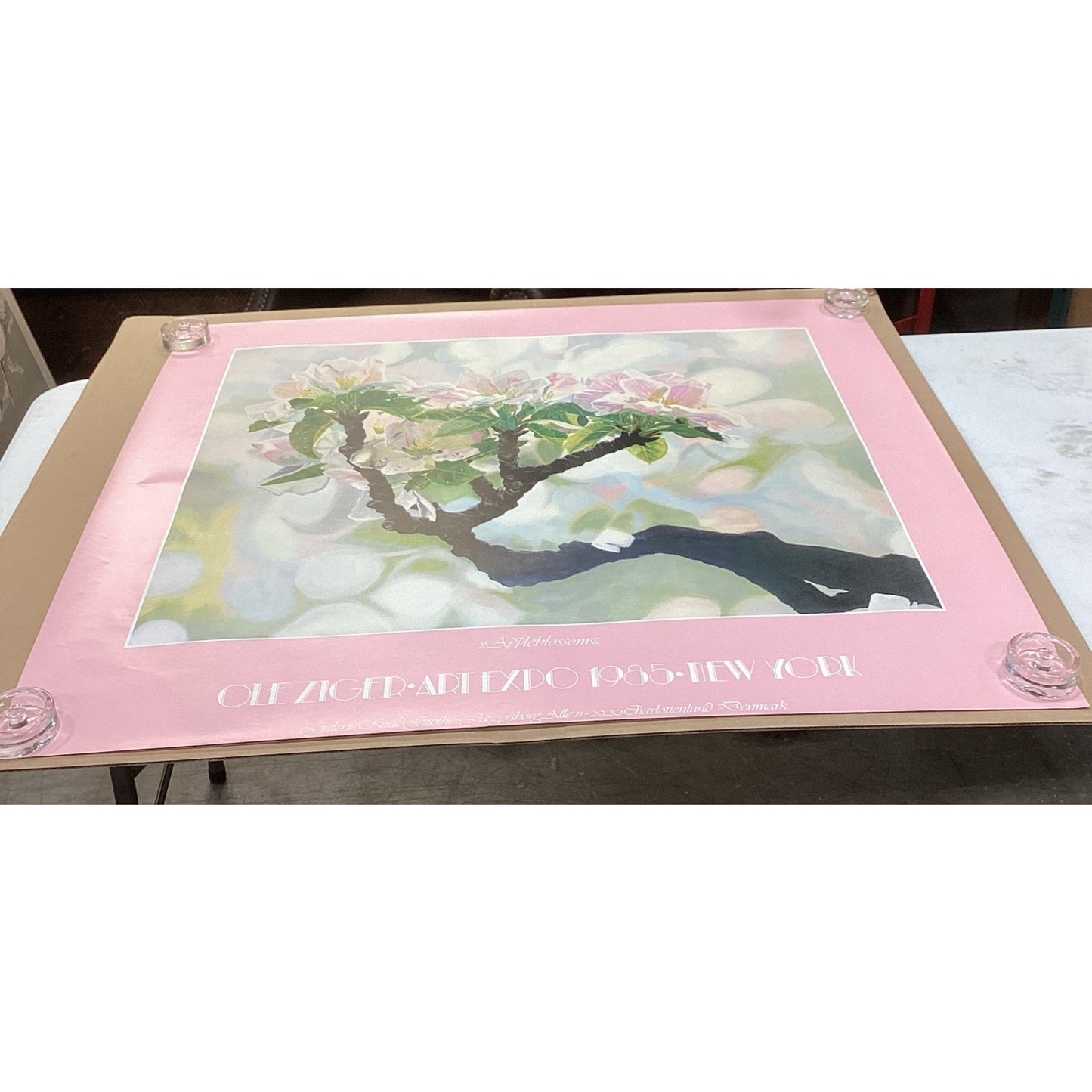 Oleziger Art Expo 1985 New York - Apple Blossoms Poster - 42.5x37.5”