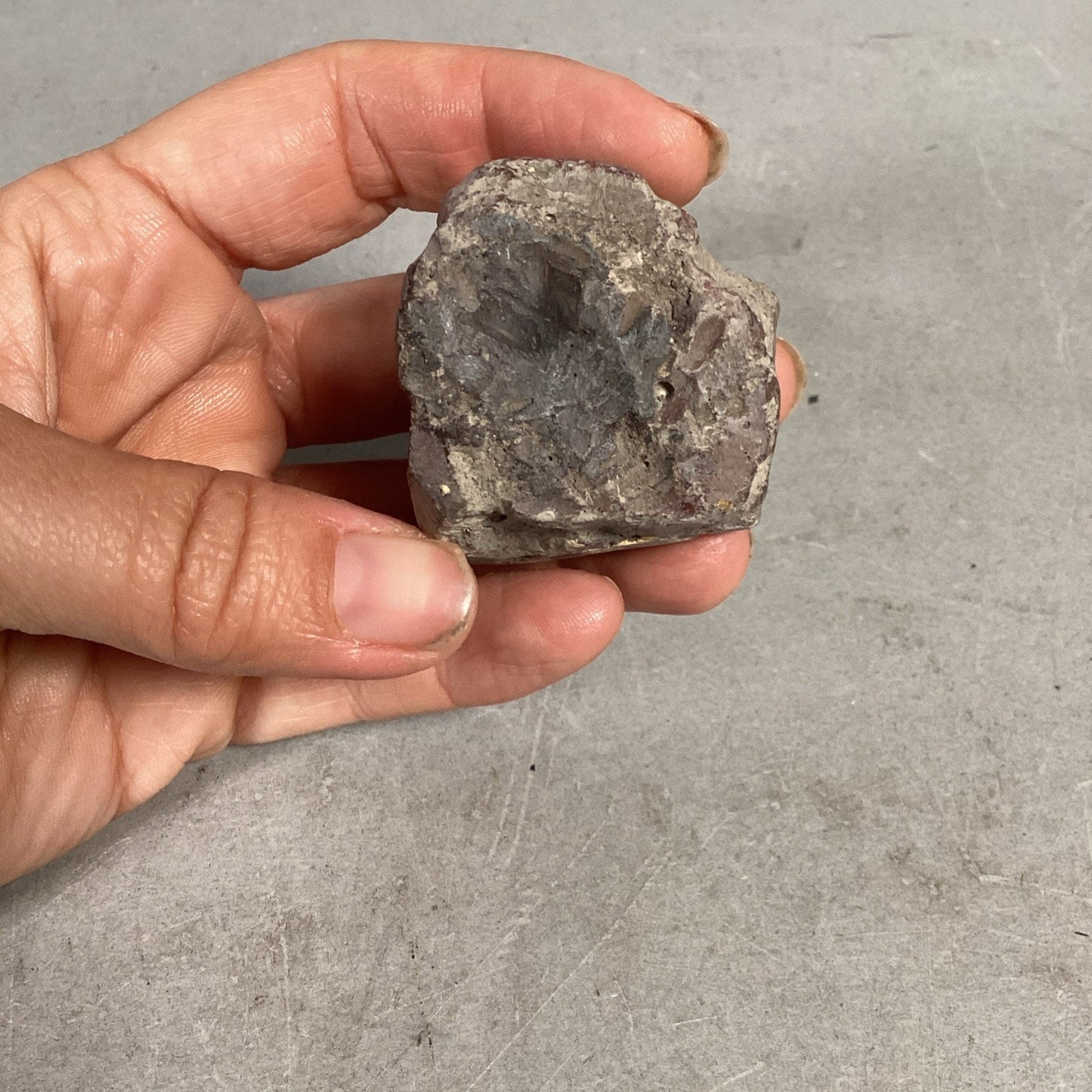 Fossil Rock - 1.5x1.25x1 3/8”