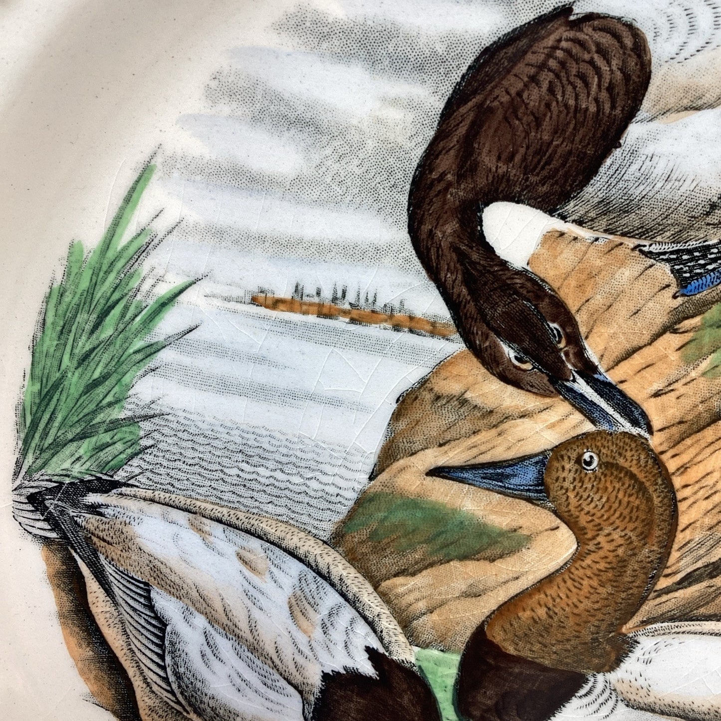 Adams Audubon Plates “Birds of America” Canvas Back Duck Dinner Plate