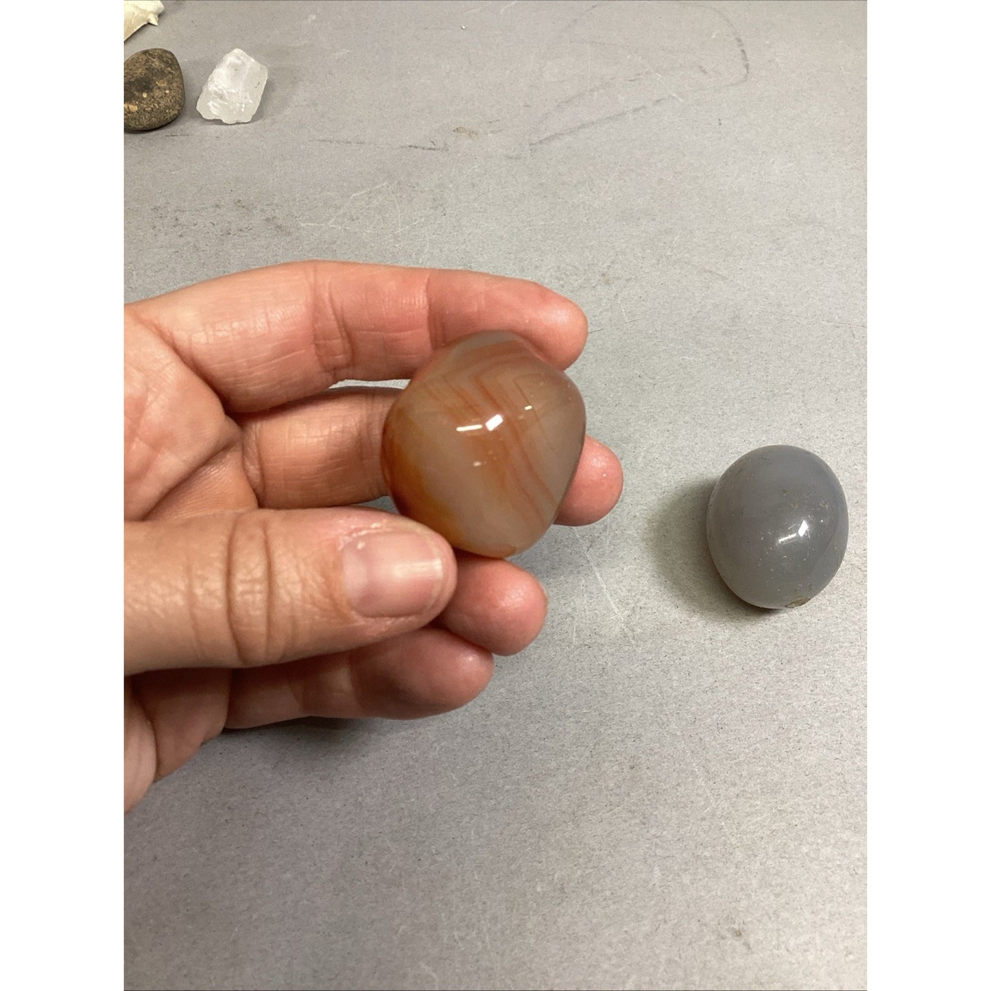 Haliotis Shell, Caradian Stone, Danburite Crystal, Sharks Tooth & 8 M