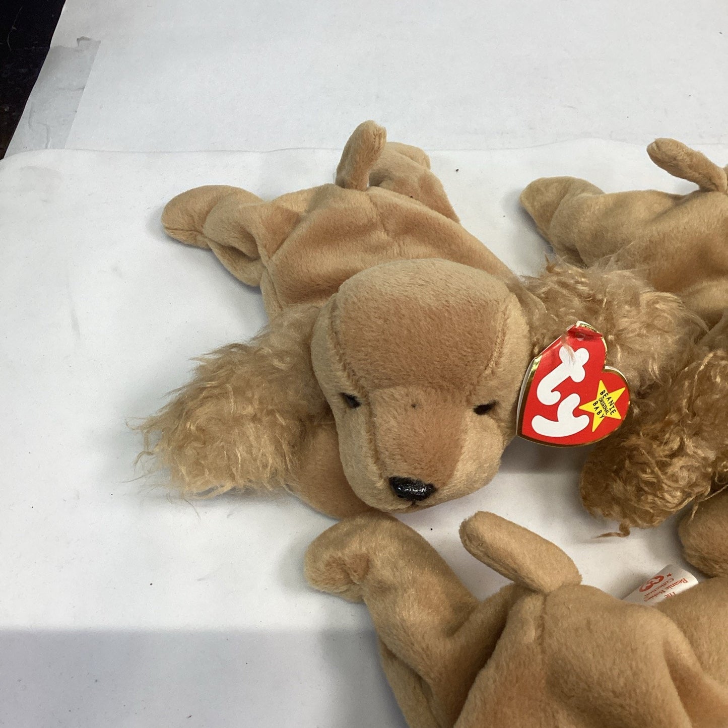 Lot Of 5 Ty Beanie Baby Spunky The Cocker Spaniel From 1997 Retired With Tags