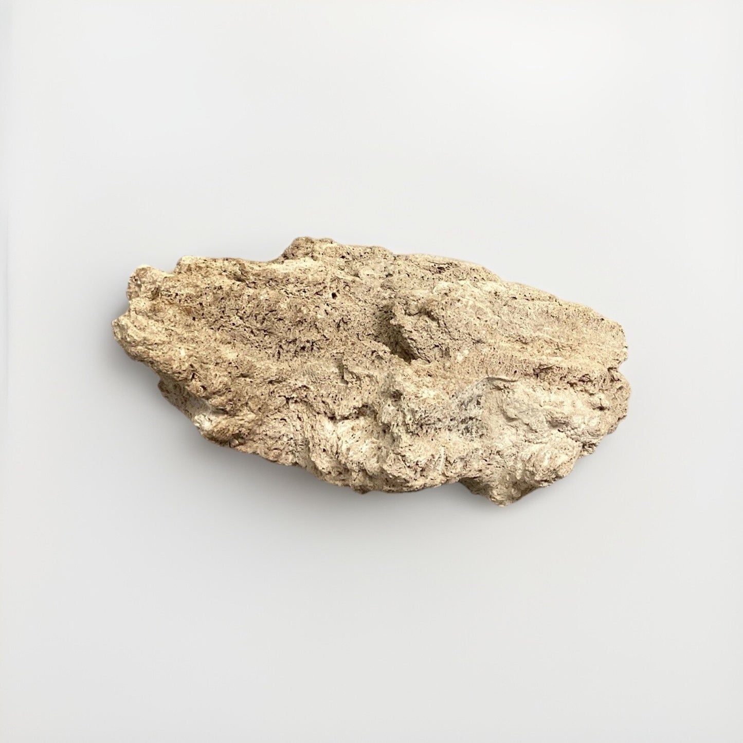 Dried All Natural Coral Fossil For Fish Tank - 14”x12x5.25”