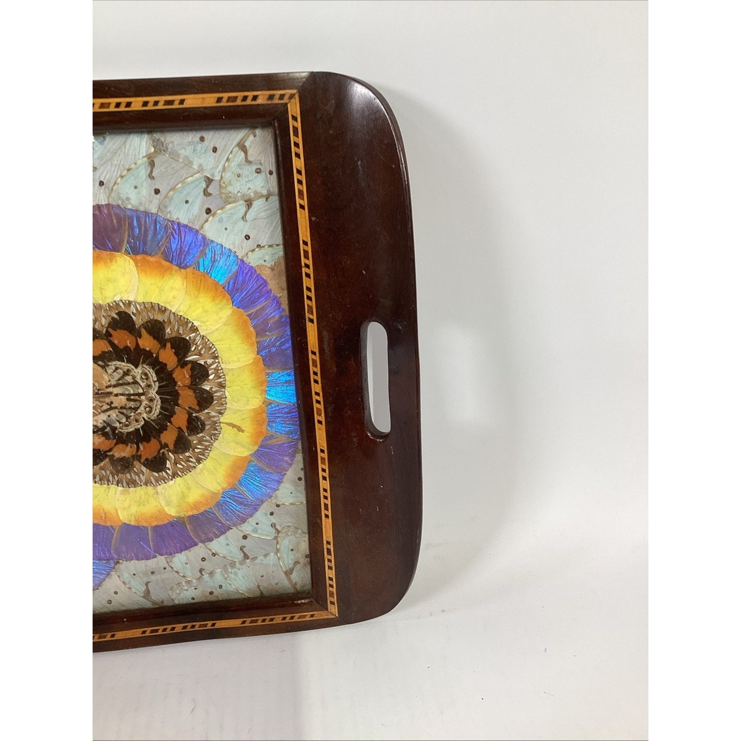 VTG Brazilian MCM Morpho Butterfly Wing Art in Wood Inlaid Marquetry Tray