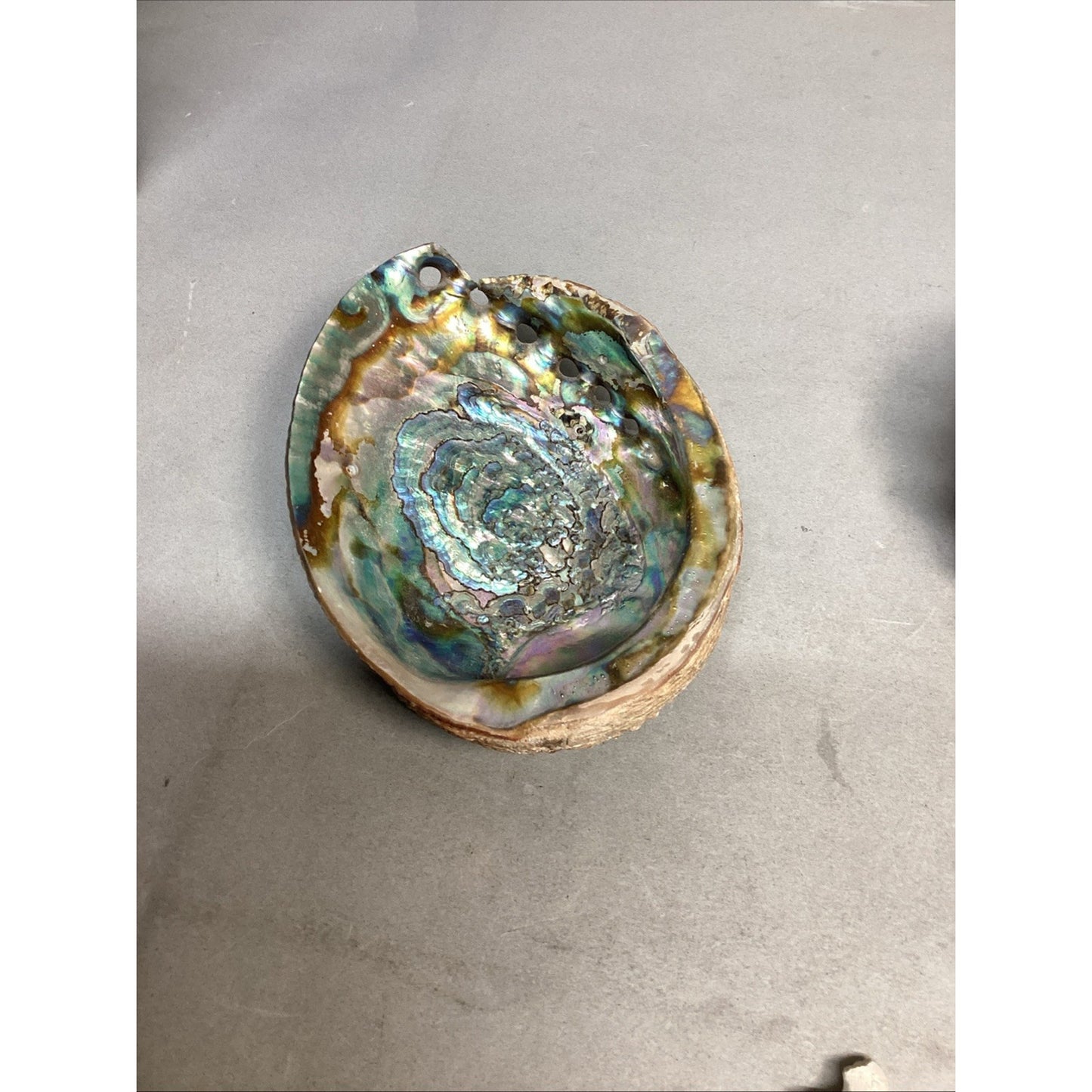 Lot Of 13- Turban Shell/Halitosis Abalone Shell/Caradian Stone/Danburite Crystal