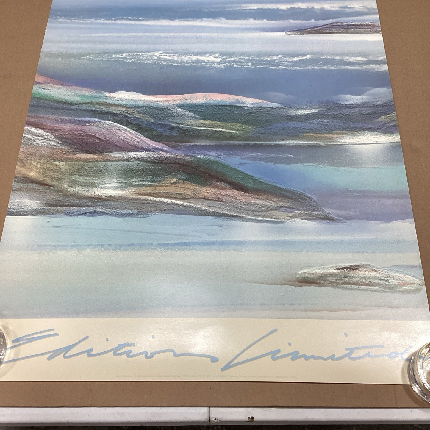 Elizabeth Alvarez Editions Limited Poster Print - 37x22”