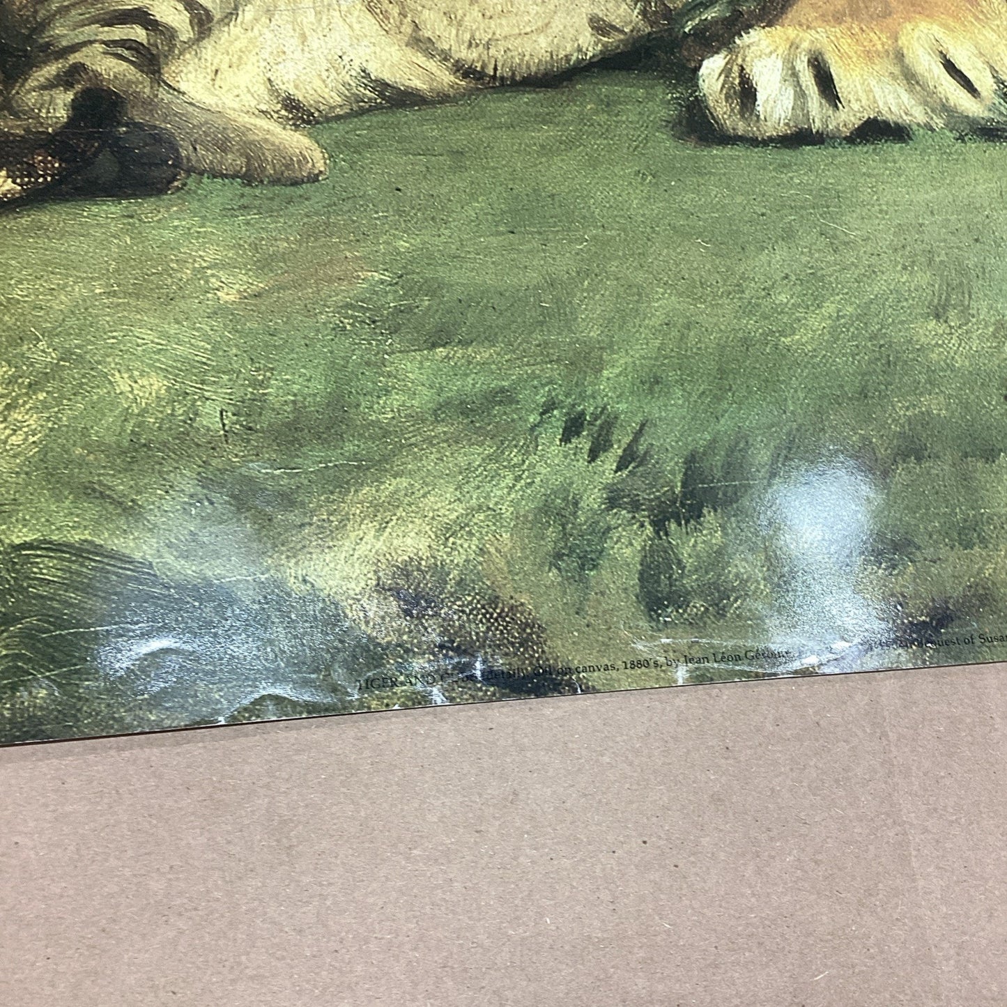 Metropolitan Zoo: A New Book Museum Of Art - Tiger And Cubs Poster - 41.25x29.75