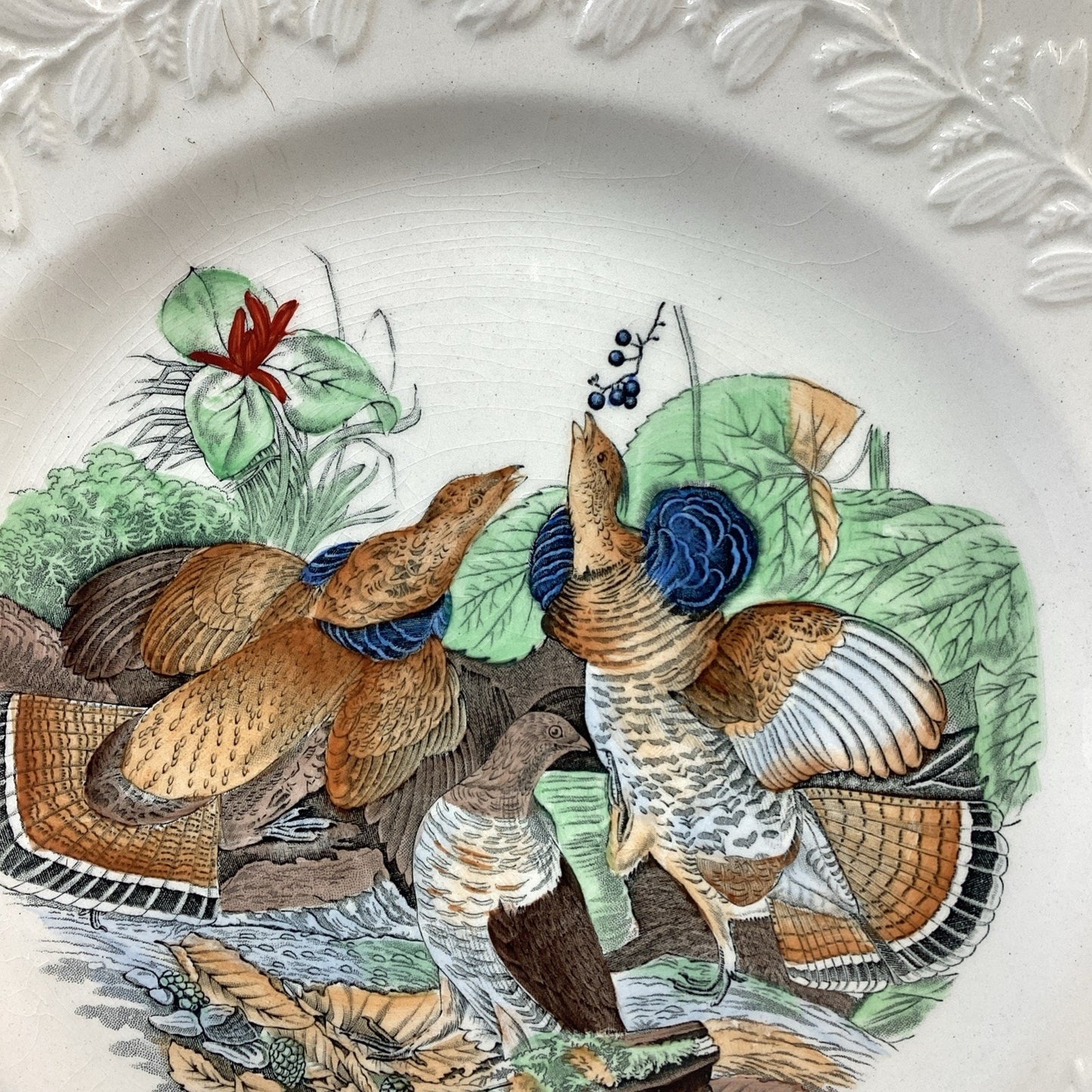 VTG Adams England Audubon Ruffed Grouse Birds of America Decorative Plate