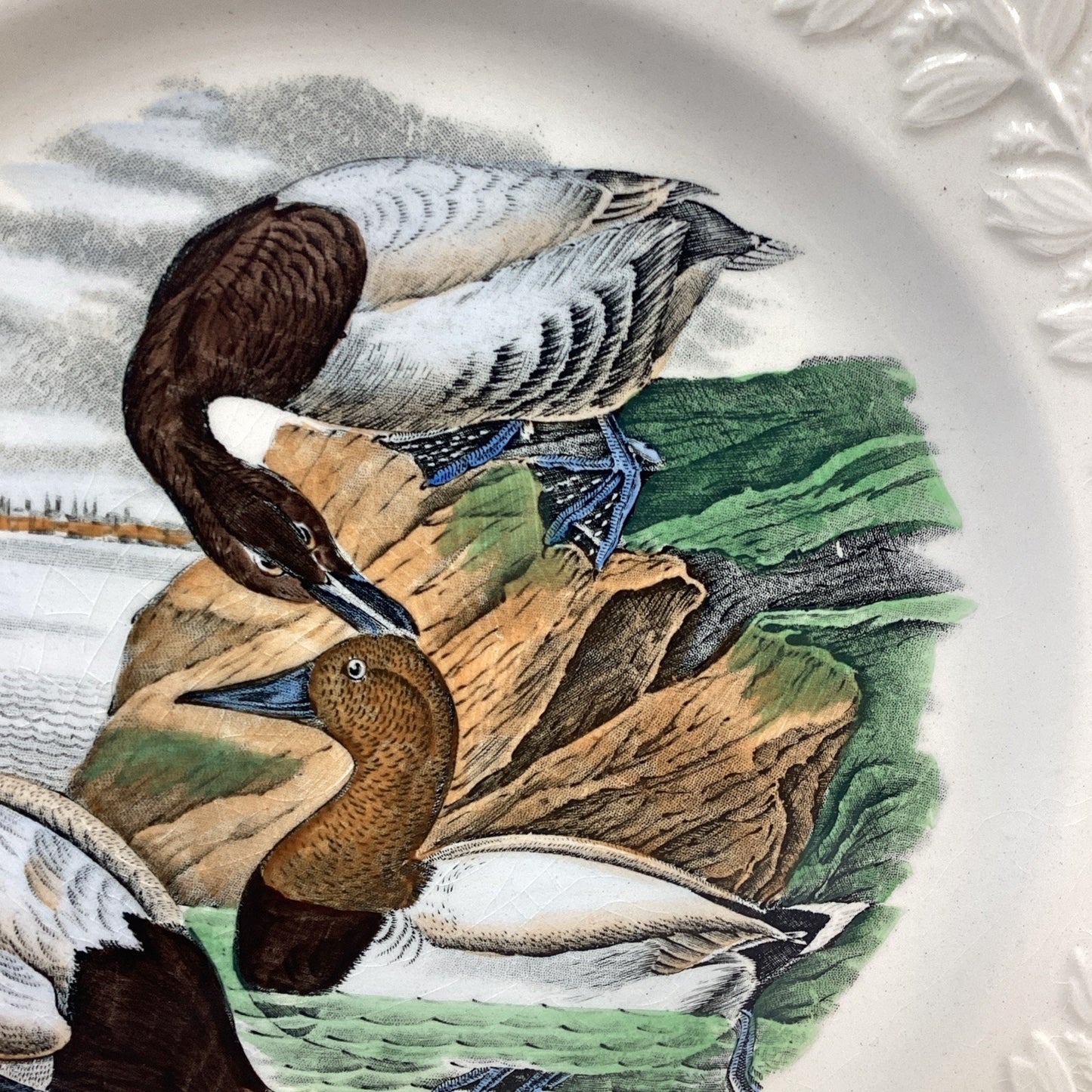 Adams Audubon Plates “Birds of America” Canvas Back Duck Dinner Plate