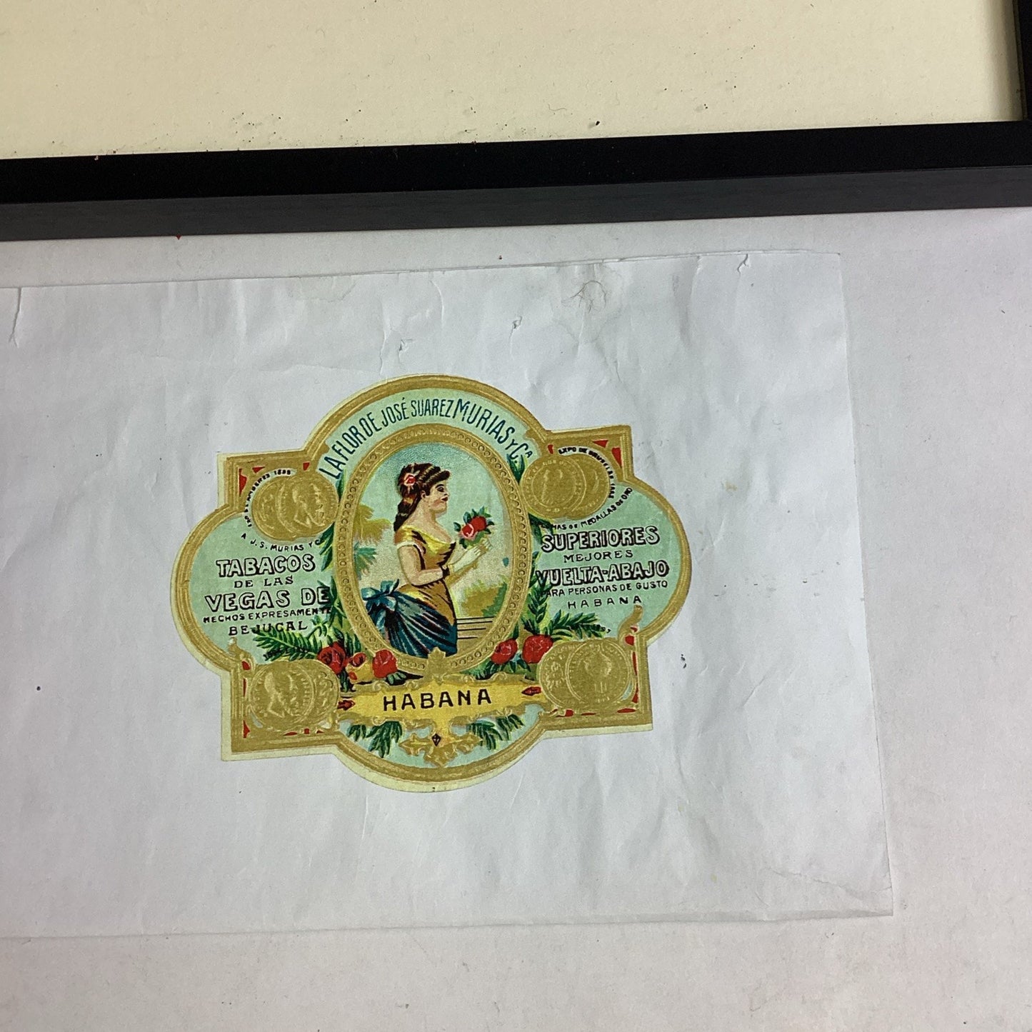 La Flor De Jose Suarez Murias Framed Picture - 14x11.75”