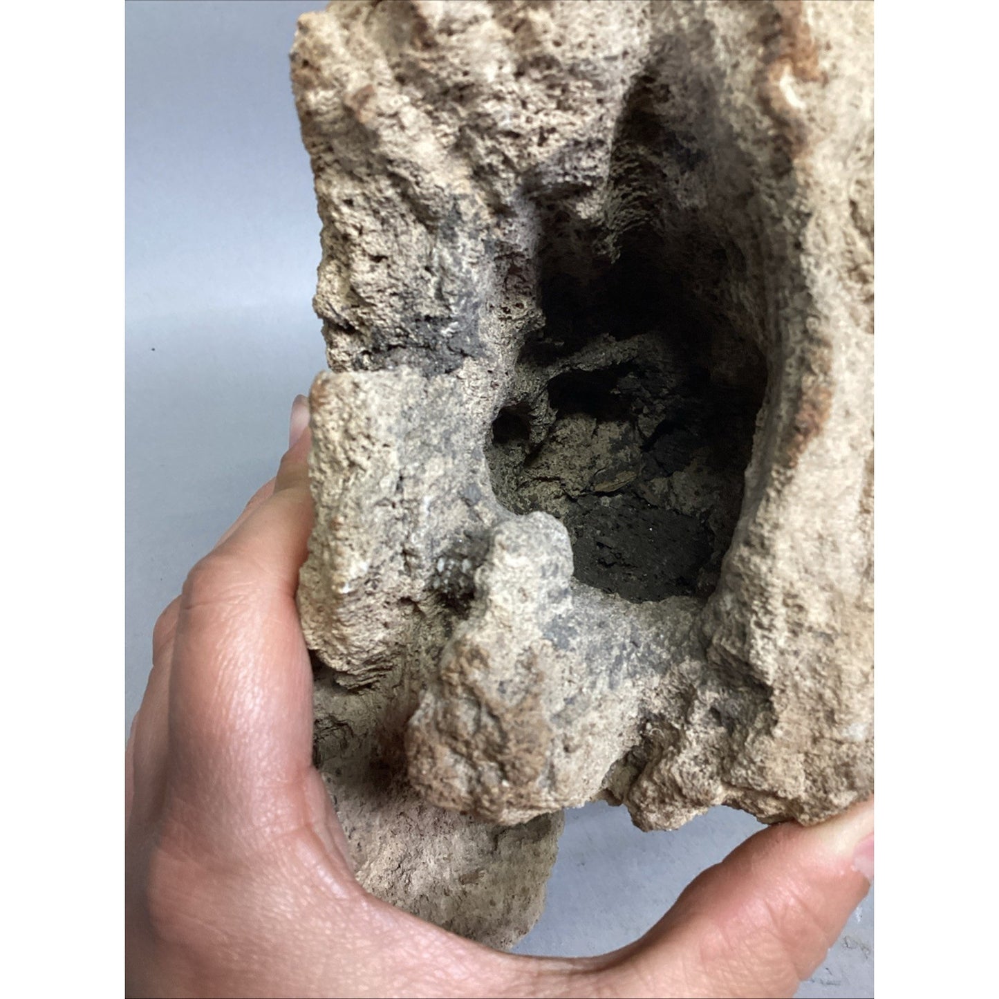 Dried All Natural Coral Fossil For Fish Tank - 14”x12x5.25”