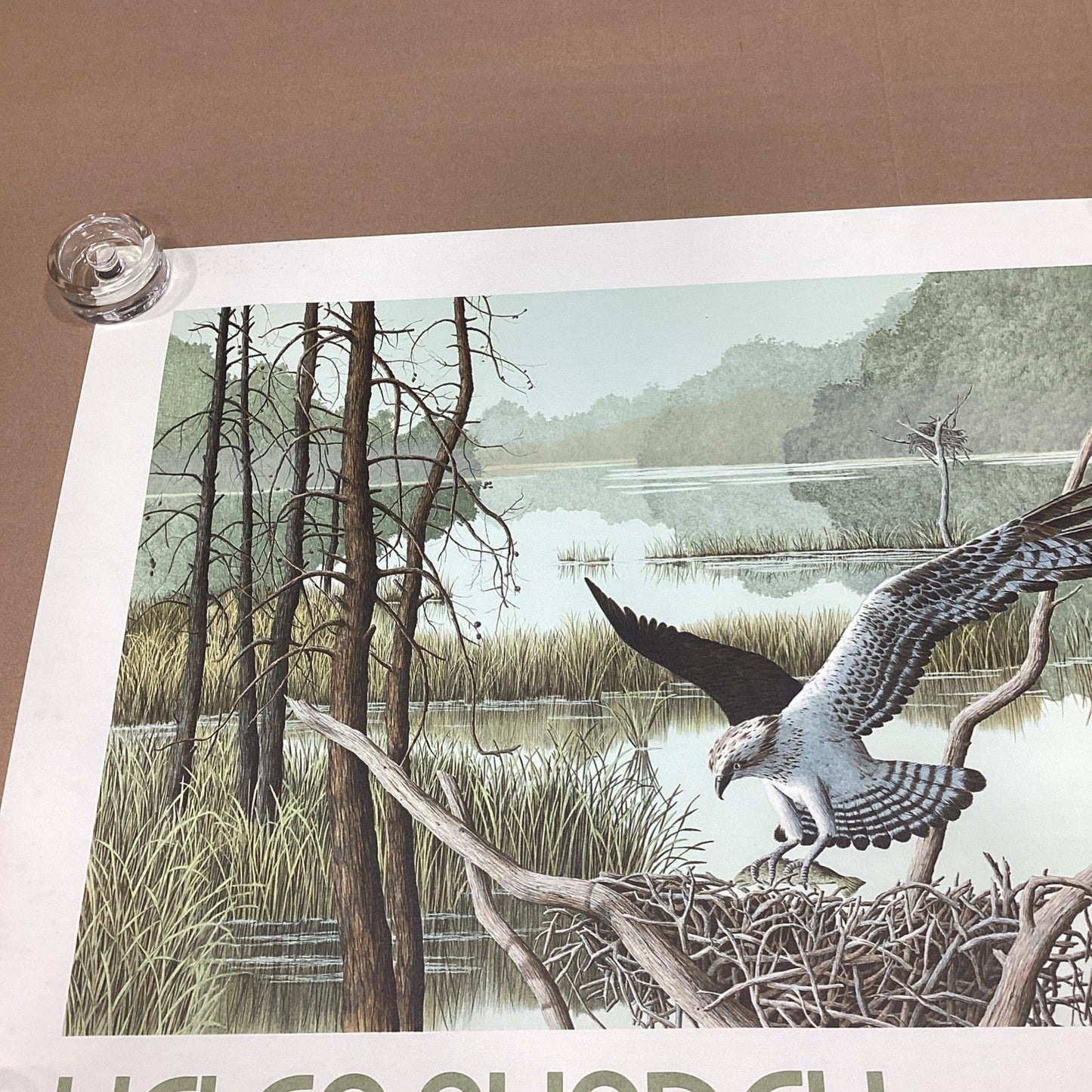 Helen Rundell Osprey Lithograph Poster - 28x23”
