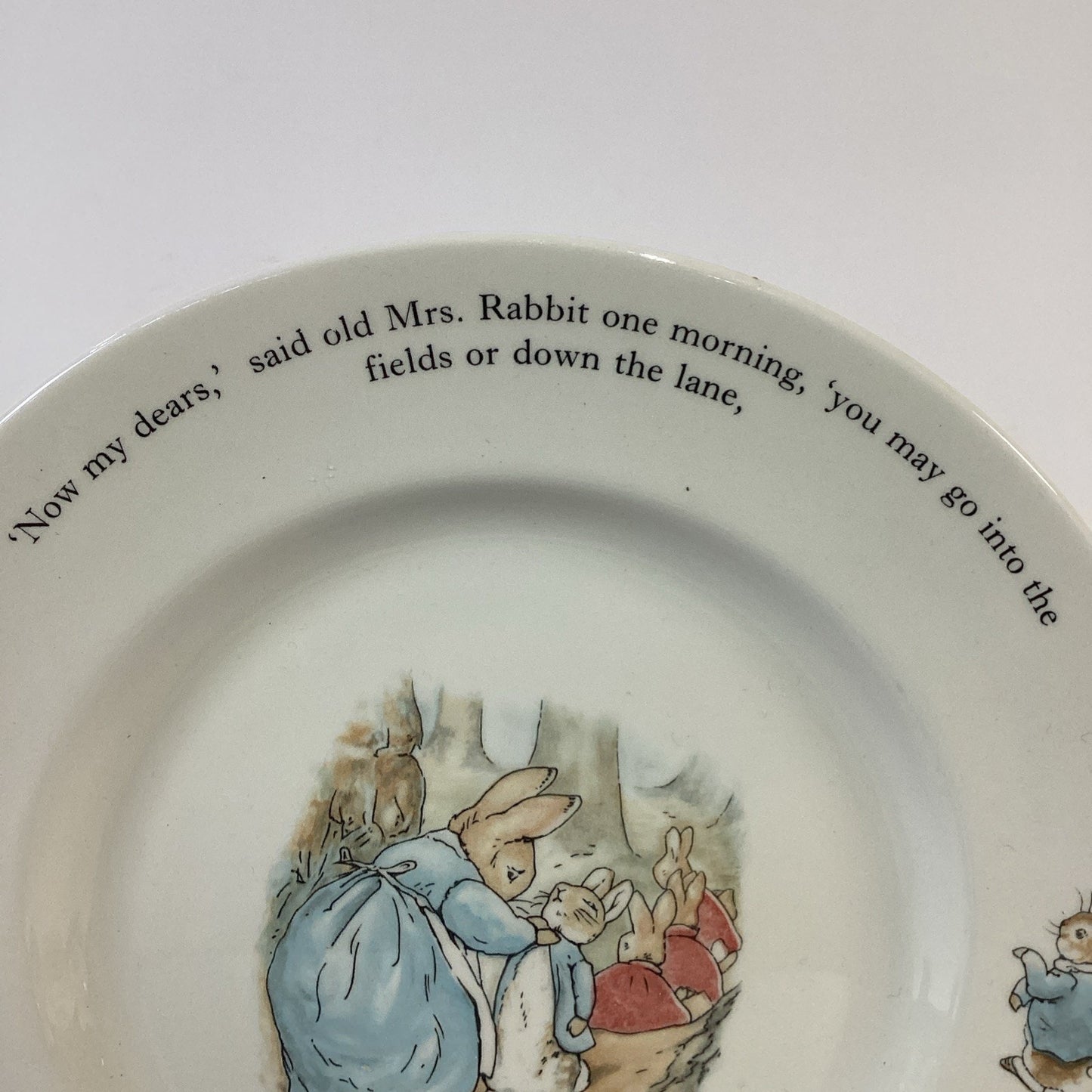 Wedgwood 1993 Peter Rabbit Plate Etruria Barlaston Beatrix Potter England 9.75"