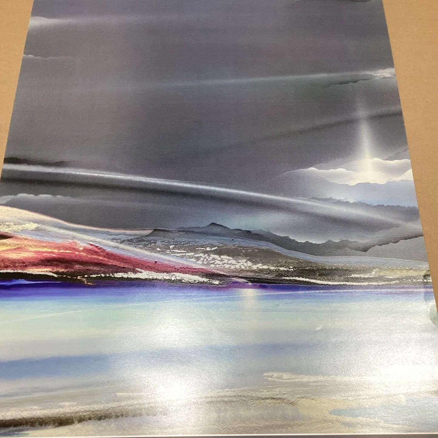 1989 Elizabeth Alvarez Platina Poster Print - 38.5x22”