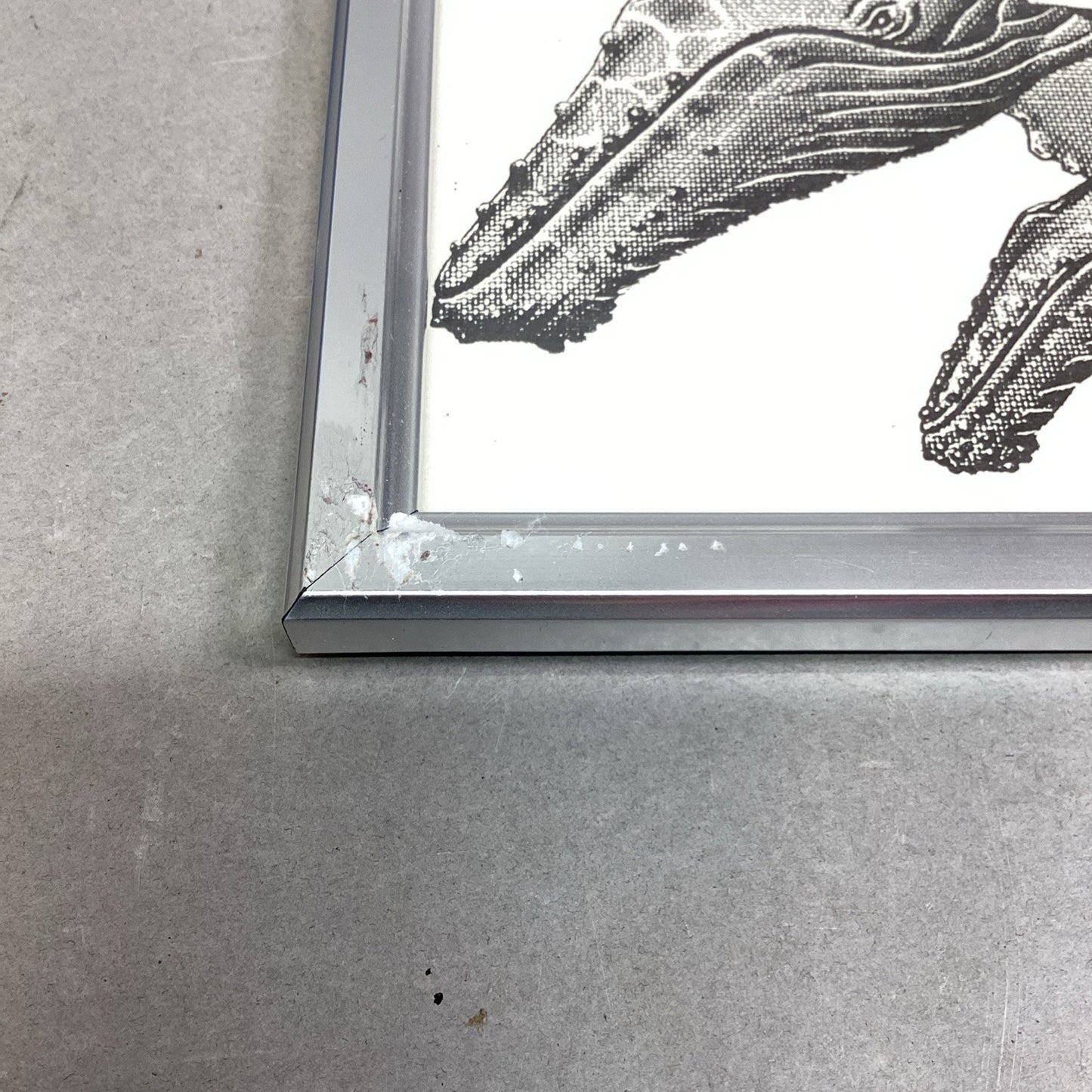 Set Of 2 Signed Peter Ott Whale Drawings - 11x9”