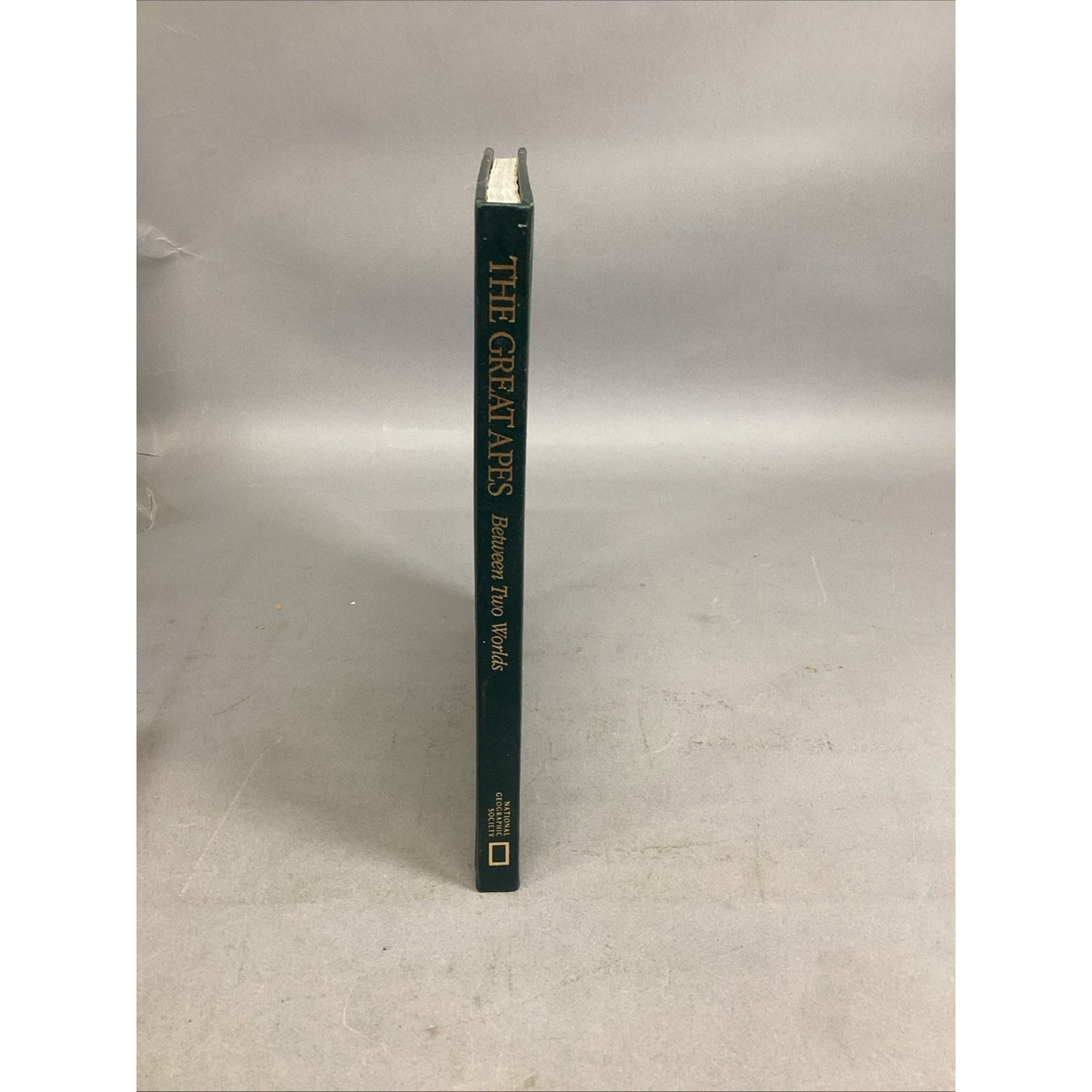 THE GREAT APES - Illustrated - Between Two Worlds National Geographic Society
