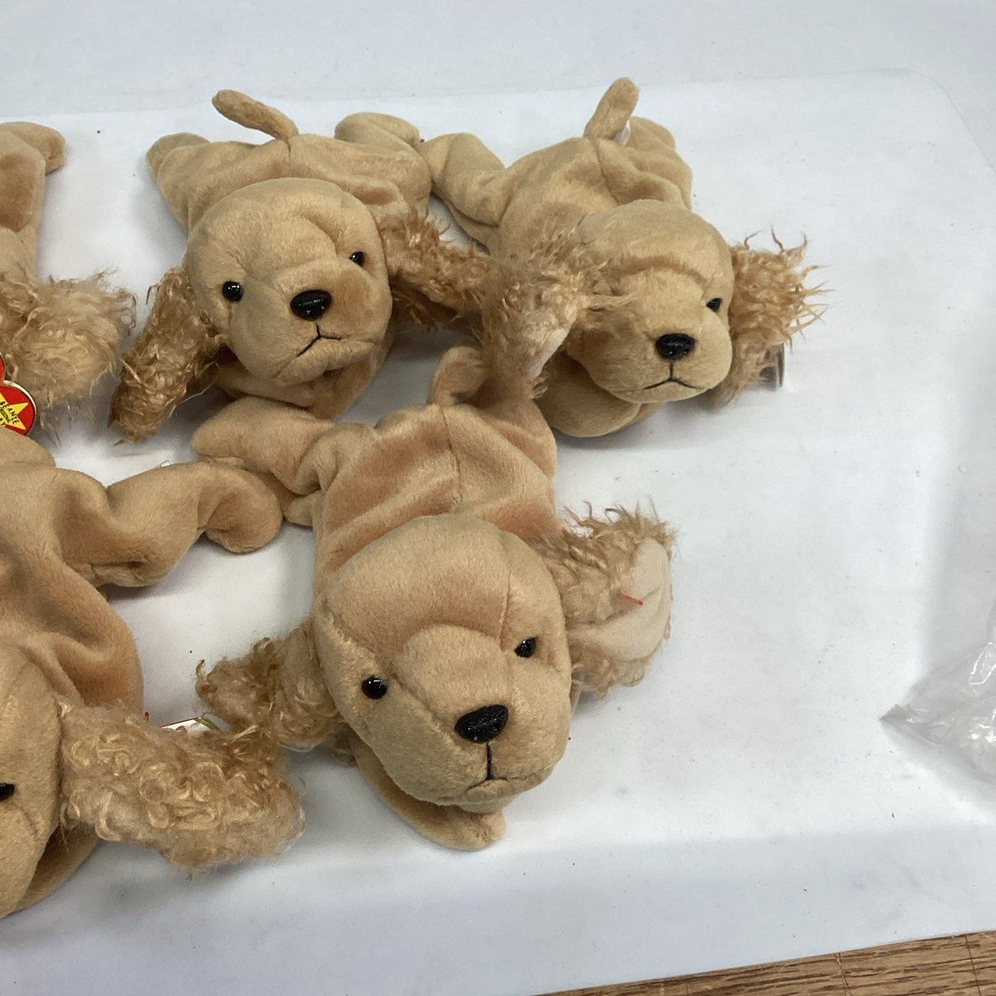Lot Of 5 Ty Beanie Baby Spunky The Cocker Spaniel From 1997 Retired With Tags