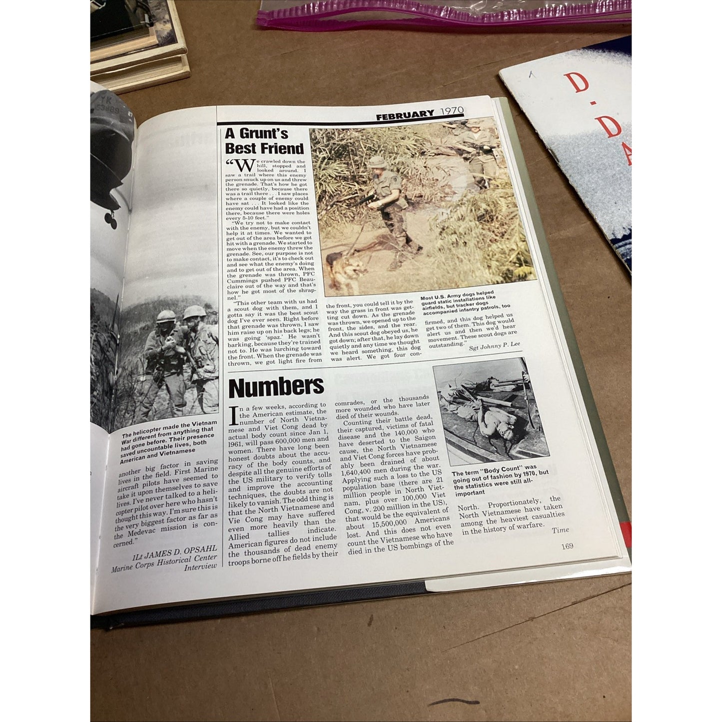 1964-1975 Vietnam War Diary = The Month by Month Experiences of the US Forces