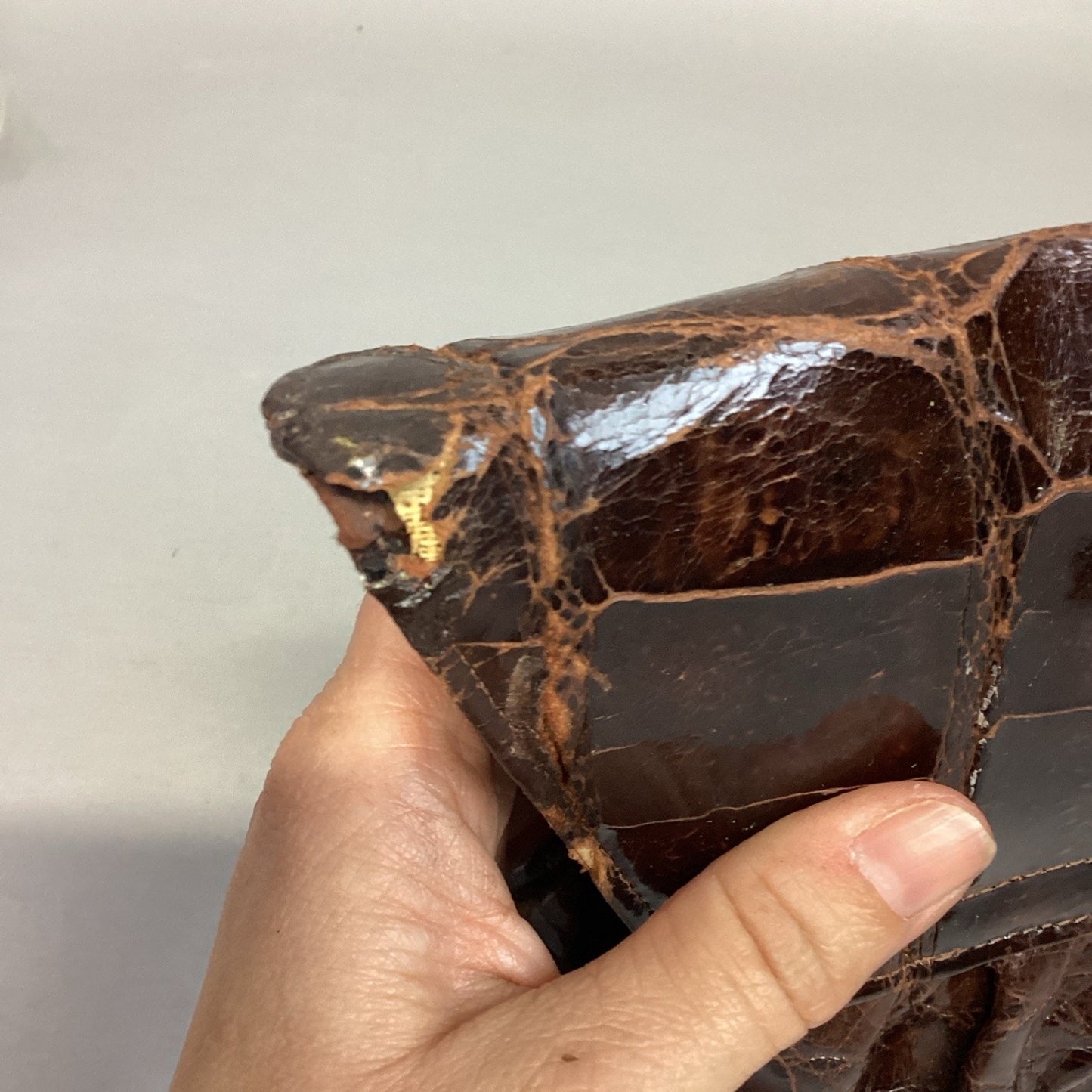 Vintage Genuine Alligator Skin Brown Leather Satchel Case