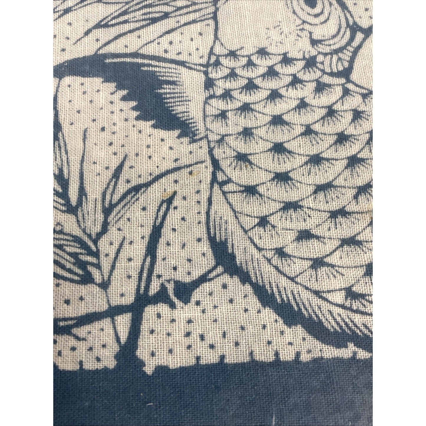 Vintage Japanese Gyotaku Koi Fish Print In Glass Frame - 18.5x12.5”