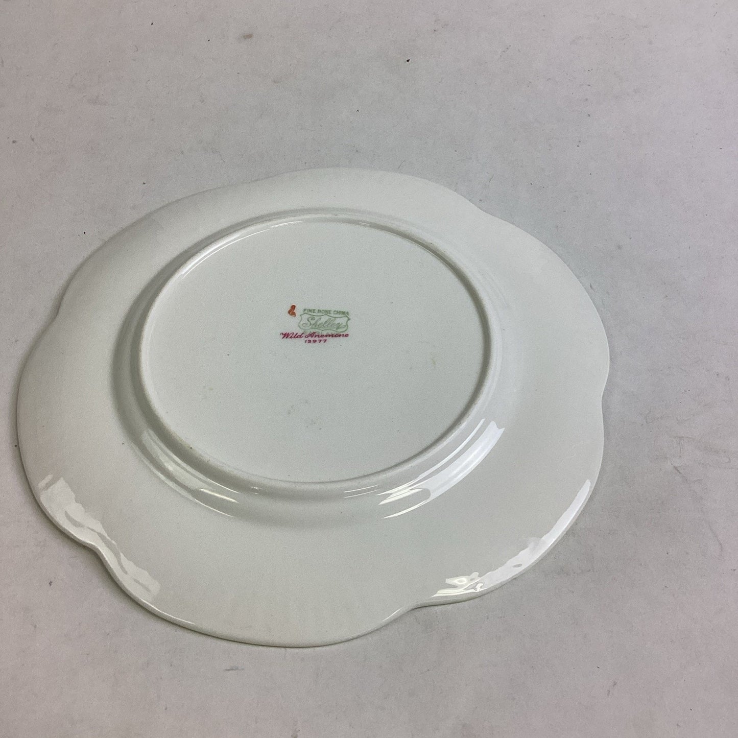 Shelley Wild Anemone Fine Bone China #13977 Salad Plate - England