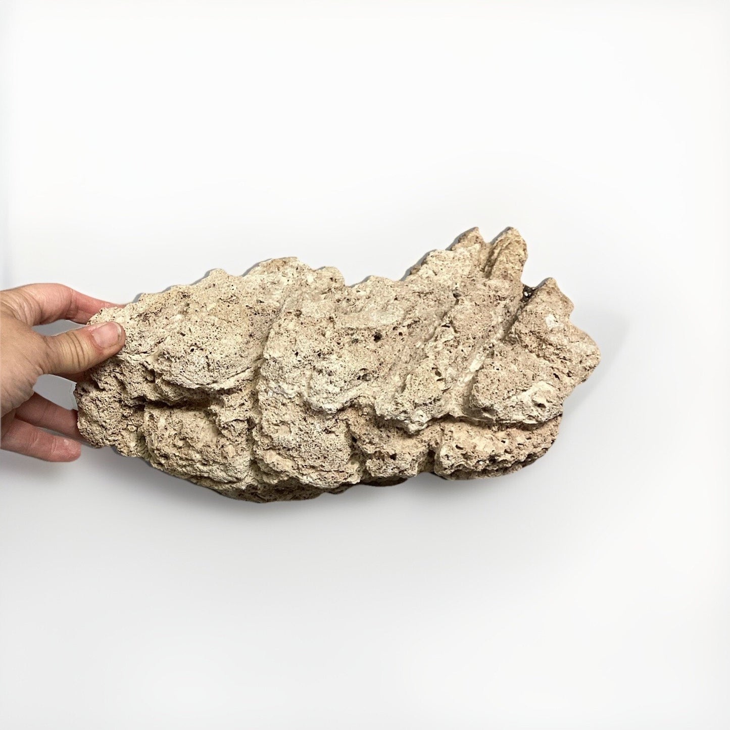Dried All Natural Coral Fossil For Fish Tank - 14”x12x5.25”