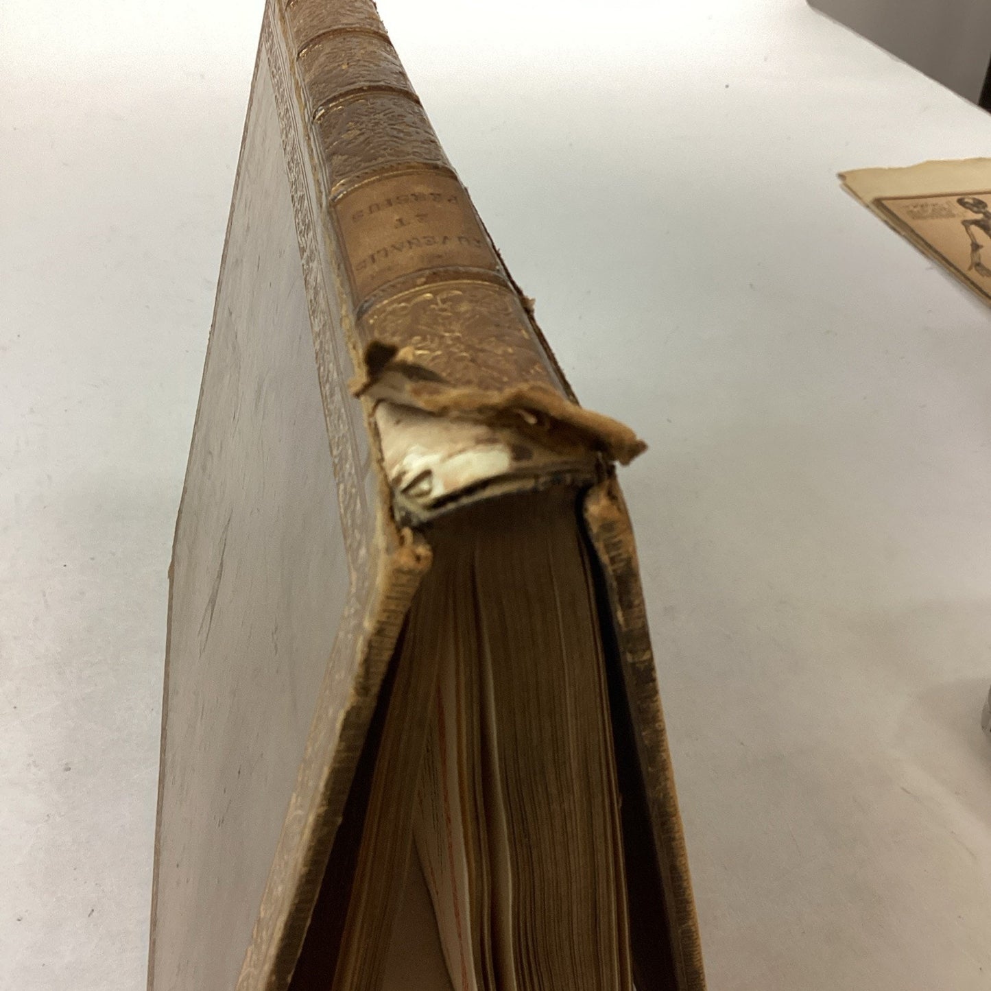 Antique Book - Juvenalis Et Persius Hardcover Book