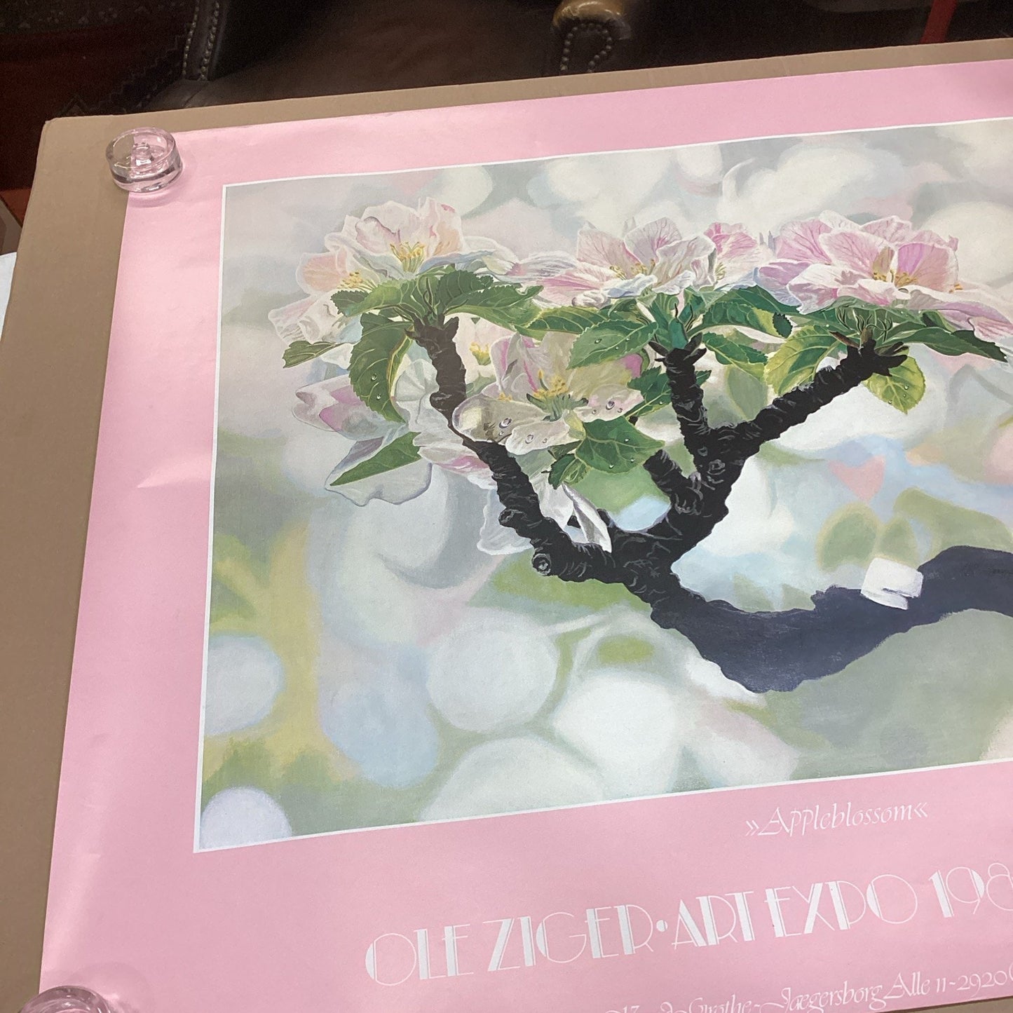 Oleziger Art Expo 1985 New York - Apple Blossoms Poster - 42.5x37.5”