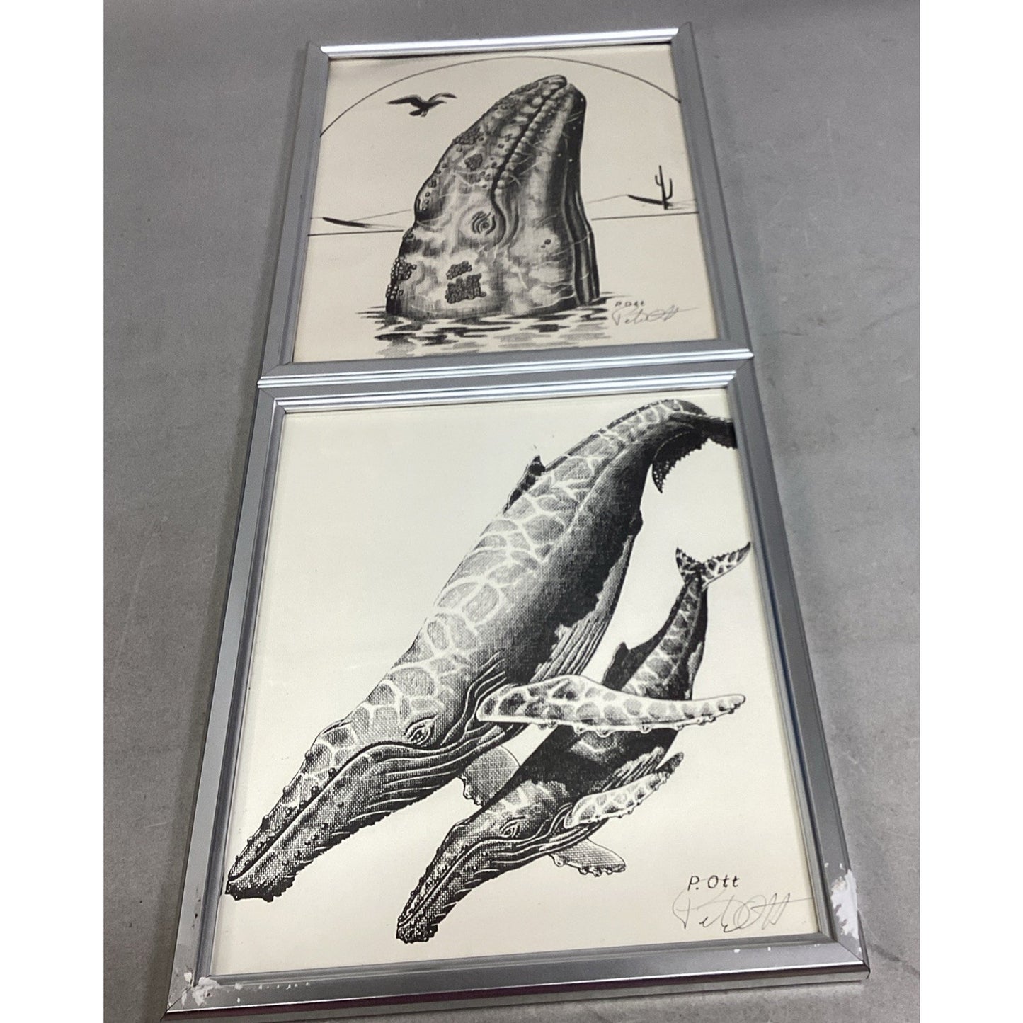 Set Of 2 Signed Peter Ott Whale Drawings - 11x9”