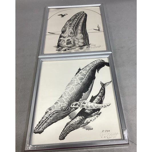 Set Of 2 Signed Peter Ott Whale Drawings - 11x9”
