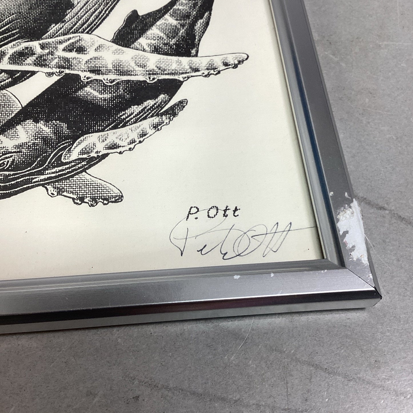 Set Of 2 Signed Peter Ott Whale Drawings - 11x9”