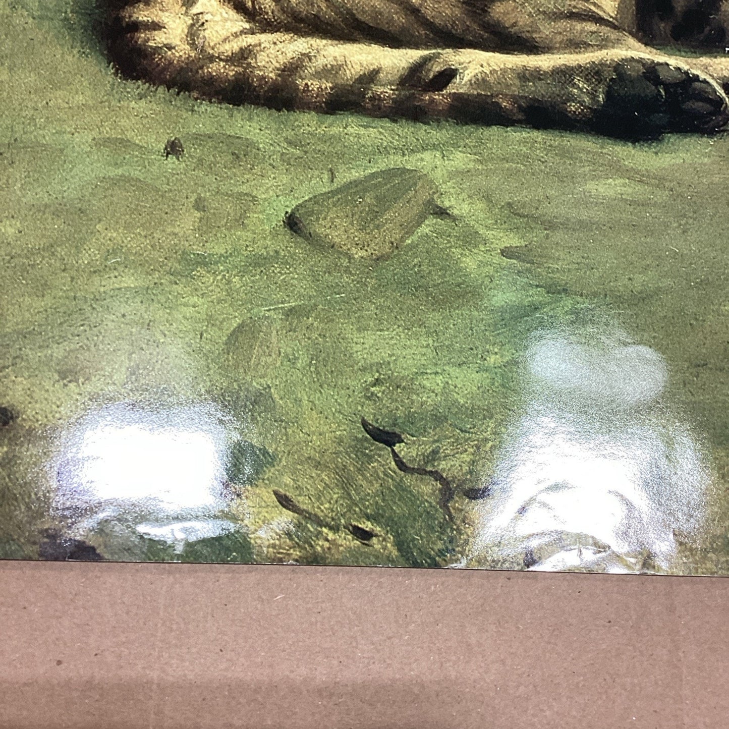 Metropolitan Zoo: A New Book Museum Of Art - Tiger And Cubs Poster - 41.25x29.75