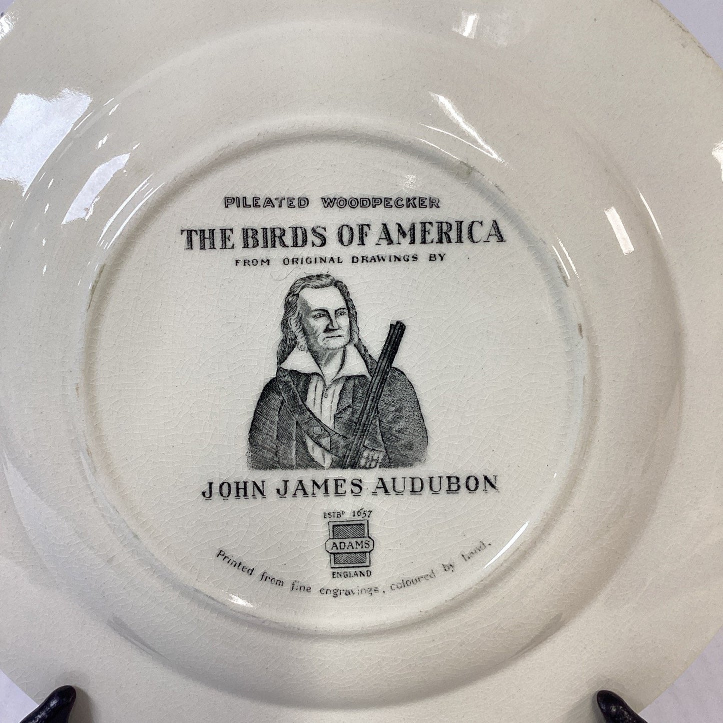 VTG Adams England Audubon Birds of America Pileated Woodpecker Collector Plate