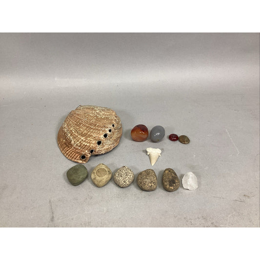 Haliotis Shell, Caradian Stone, Danburite Crystal, Sharks Tooth & 8 M