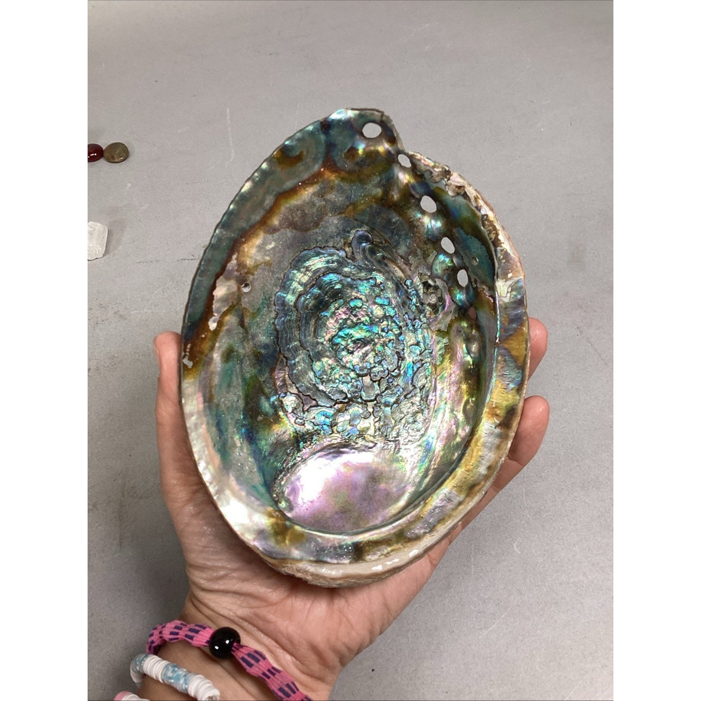 Haliotis Shell, Caradian Stone, Danburite Crystal, Sharks Tooth & 8 M