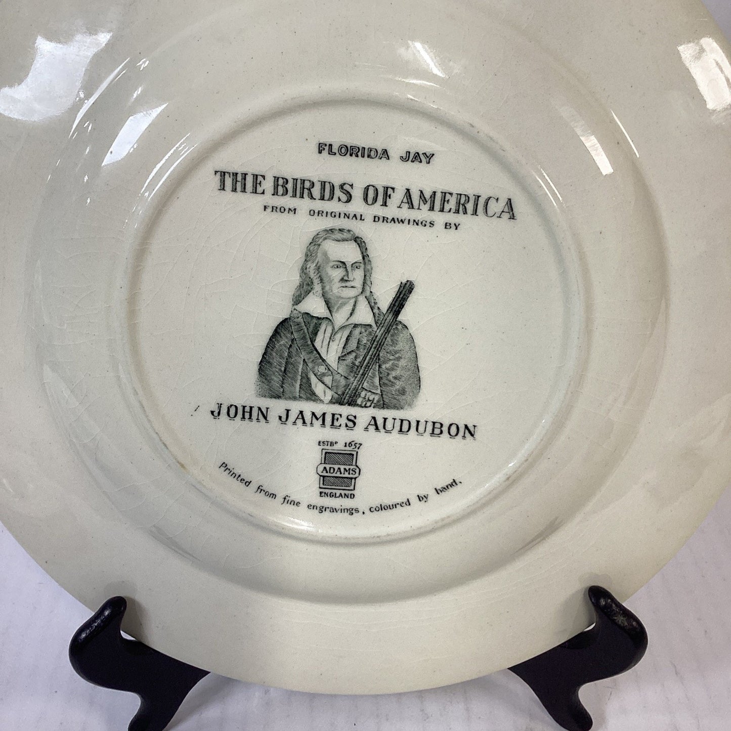 Adams England Audubon Birds of America Florida Jay Collector Plate