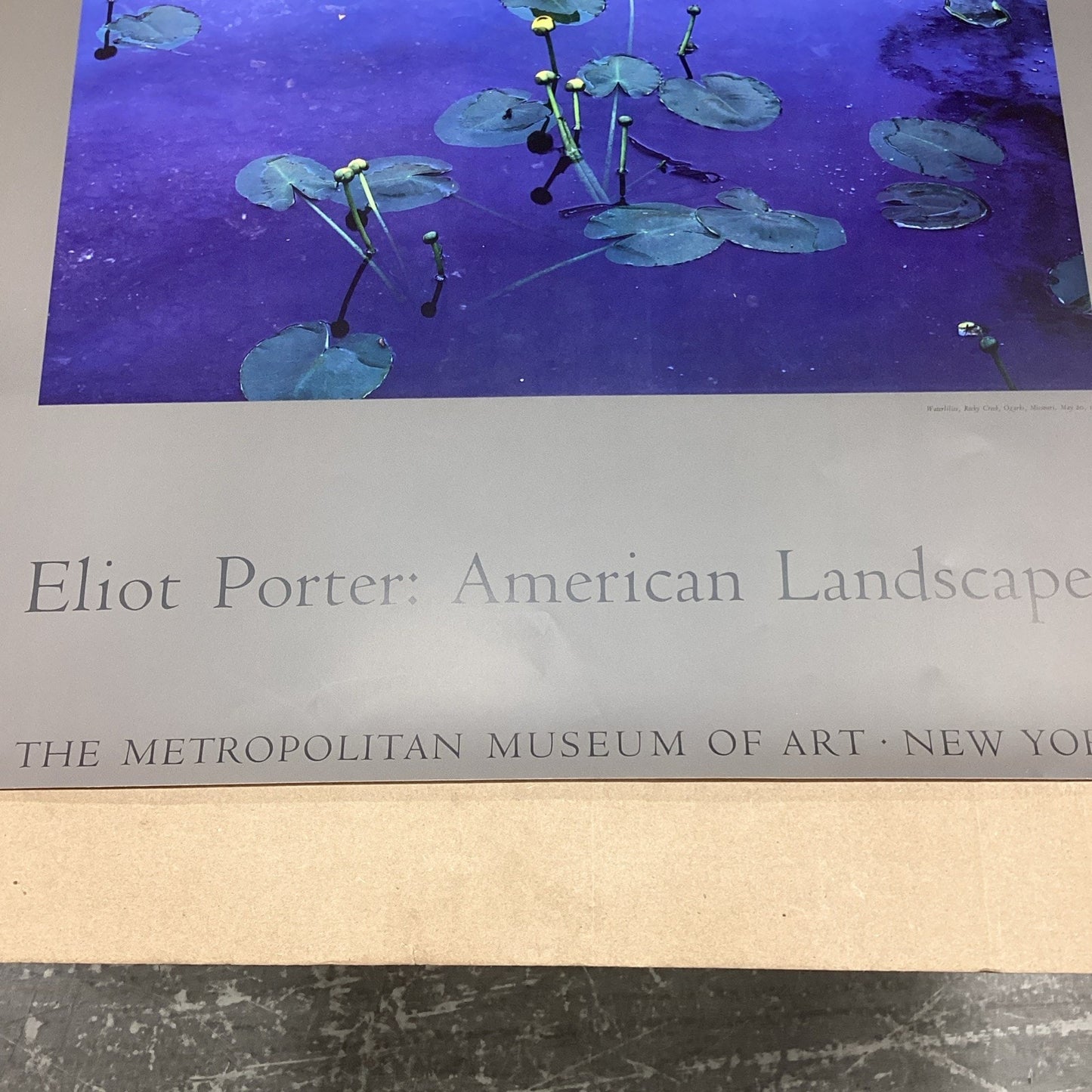 Eliot Porter: American Landscapes - Lily Pads Poster -33x22” + Museum Of Art NYC