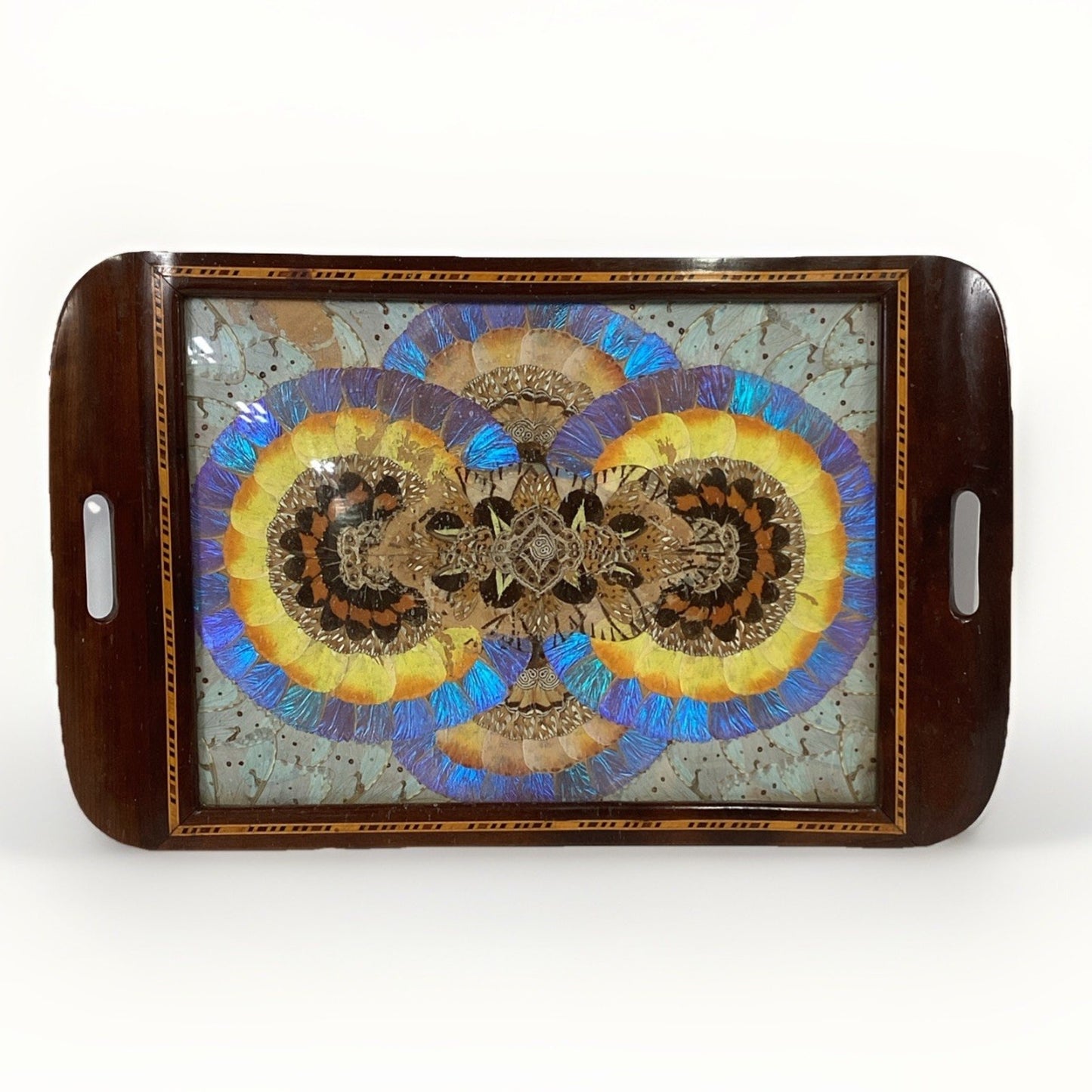 VTG Brazilian MCM Morpho Butterfly Wing Art in Wood Inlaid Marquetry Tray