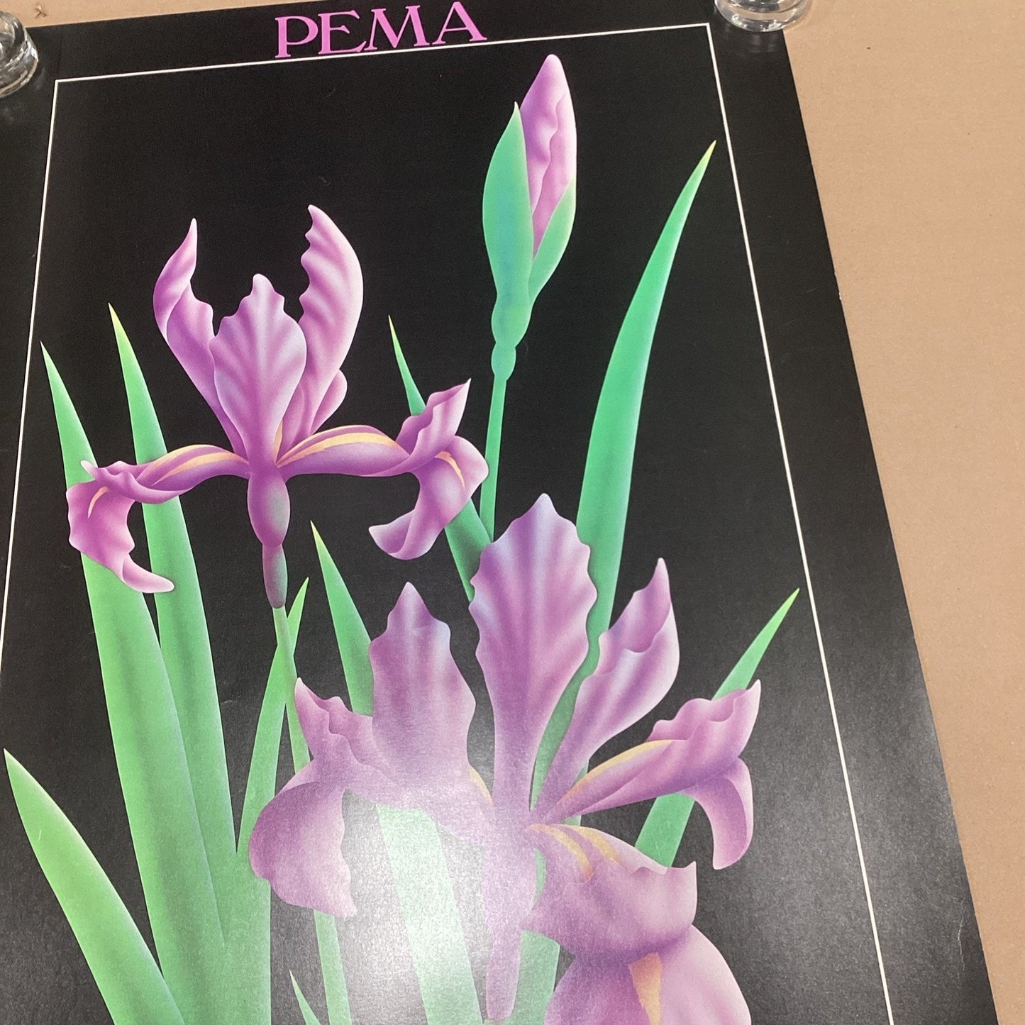 Pema Art Of The 80’s New York Exhibition Purple Floral Poster - 36x24”