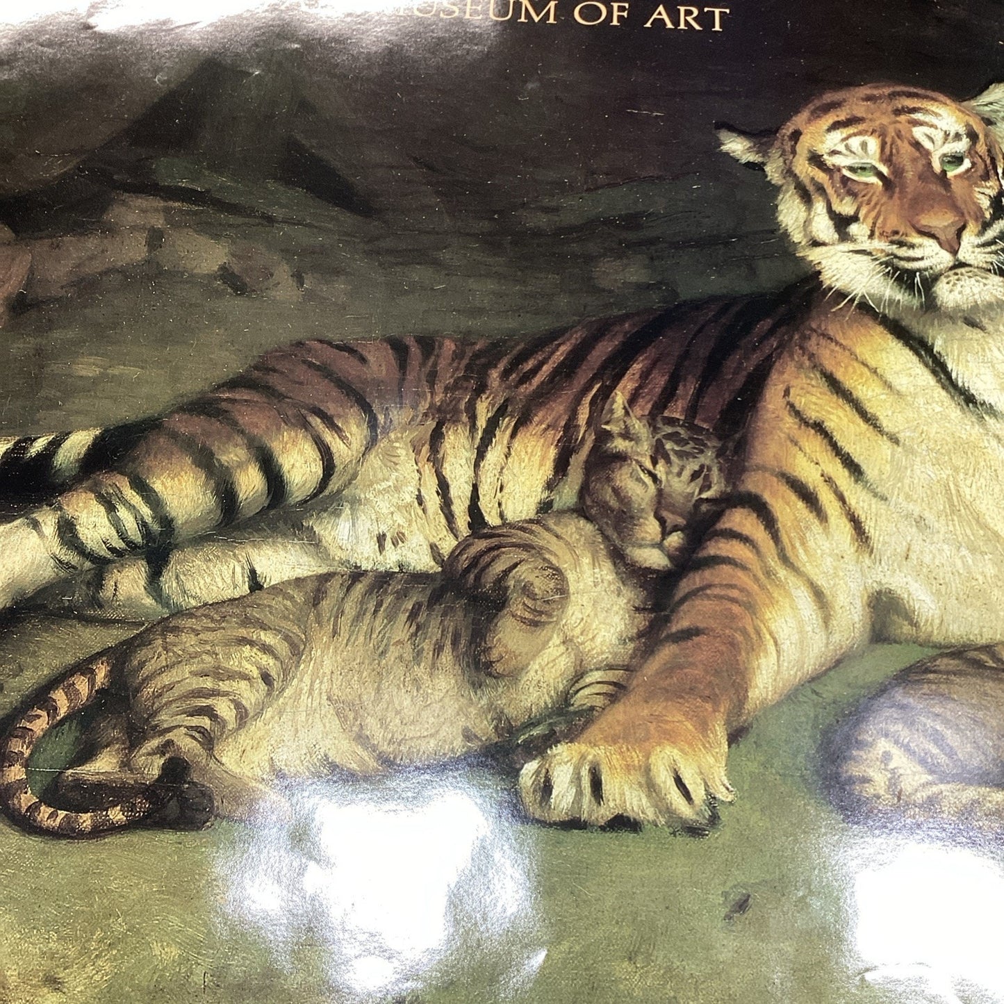Metropolitan Zoo: A New Book Museum Of Art - Tiger And Cubs Poster - 41.25x29.75