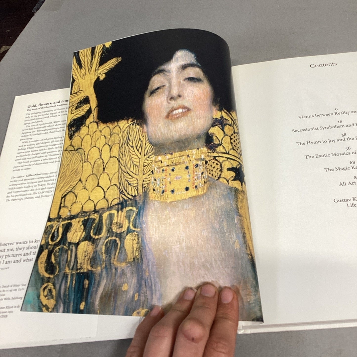 Klimt, Modigliani Abrams, Hokusai & Hiroshige Photography Books