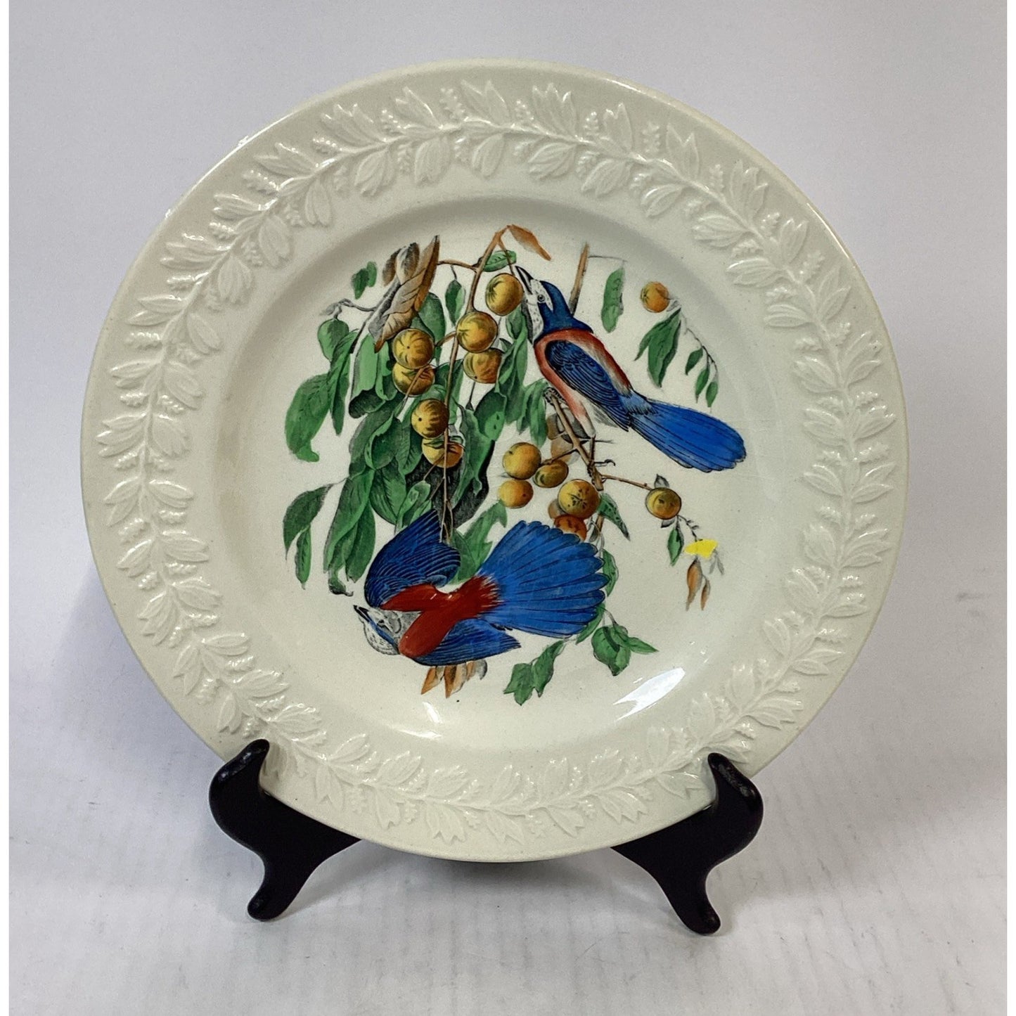 Adams England Audubon Birds of America Florida Jay Collector Plate