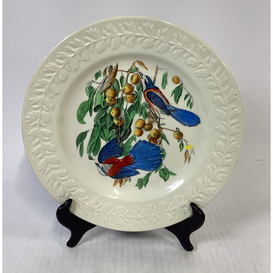 Adams England Audubon Birds of America Florida Jay Collector Plate