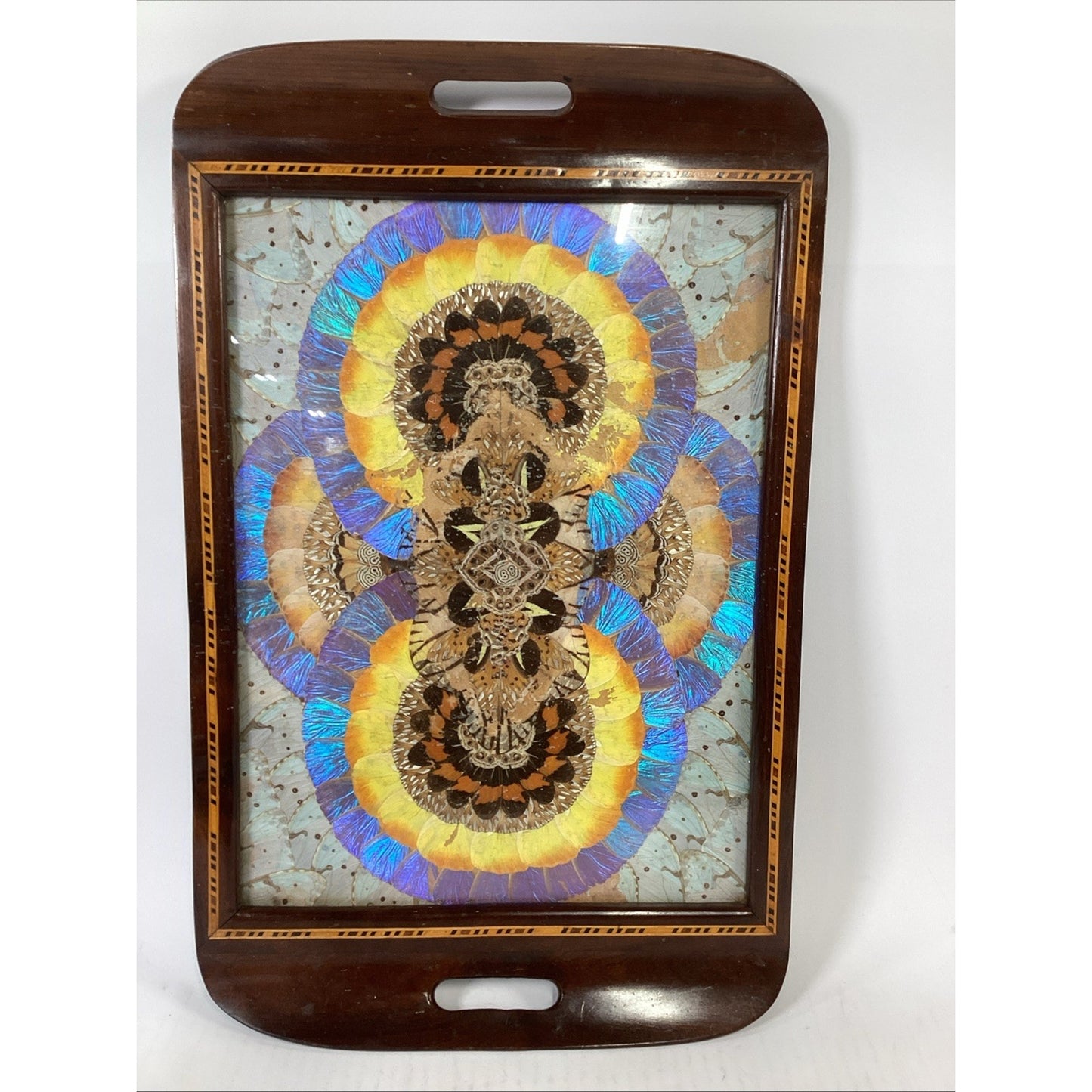 VTG Brazilian MCM Morpho Butterfly Wing Art in Wood Inlaid Marquetry Tray
