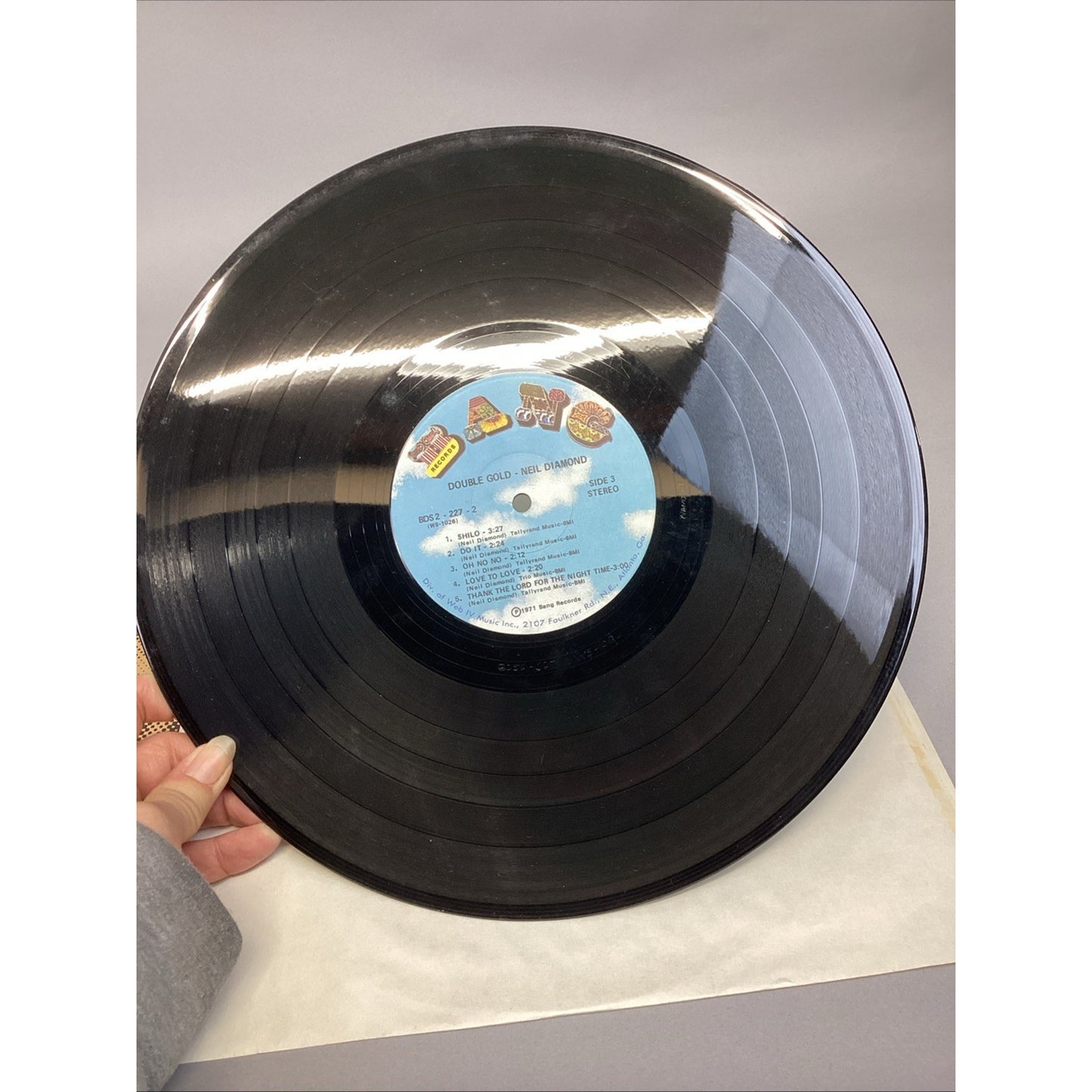 Neil Diamond 12 Greatest Hits & Neil Diamond Double Gold Vinyl Records