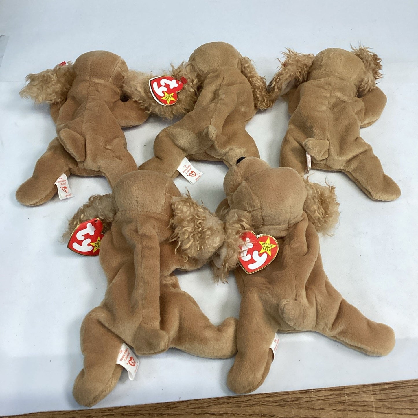 Lot Of 5 Ty Beanie Baby Spunky The Cocker Spaniel From 1997 Retired With Tags