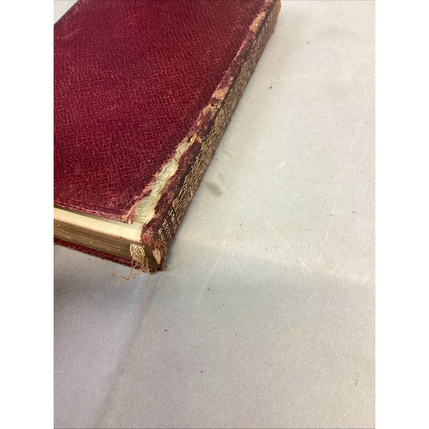 VTG 1916 - The Warden: Anthony Trollope (Everyman's Library Classics) Softcover