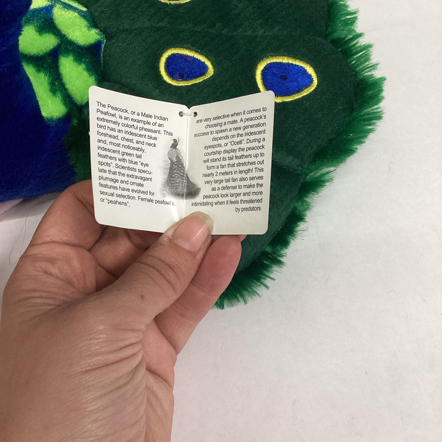 Fiesta Peacock 12" Plush Stuffed Animal Toy - 2018 - NWT